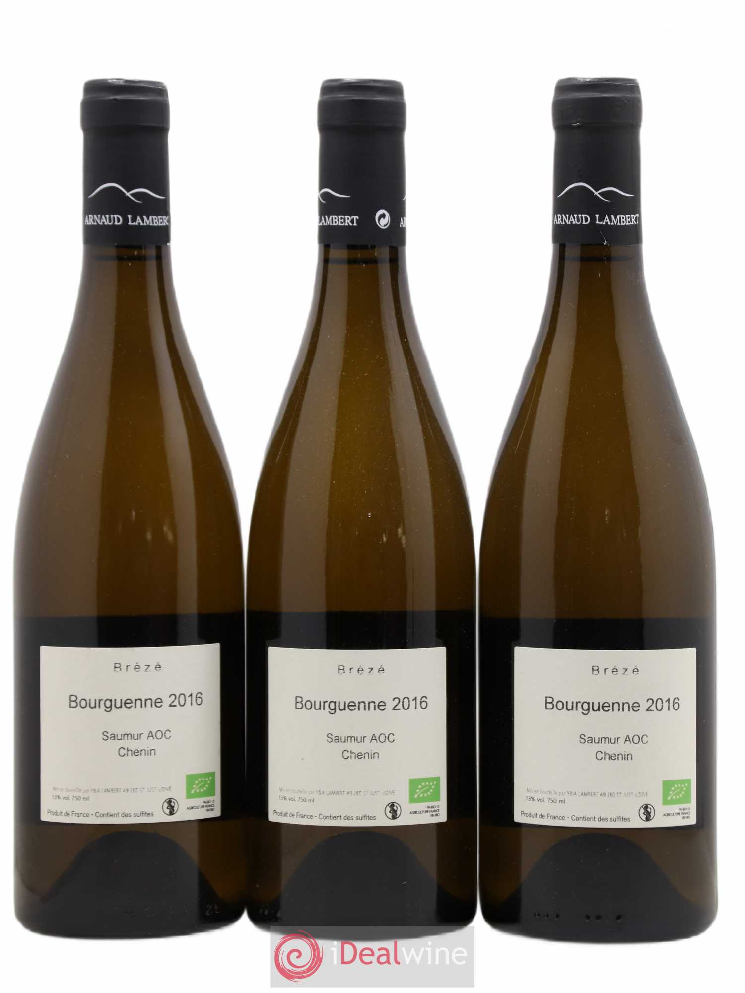Saumur Brézé Bourguenne Domaine de Saint-Just 2016 - Posten von 3 Flaschen - 1