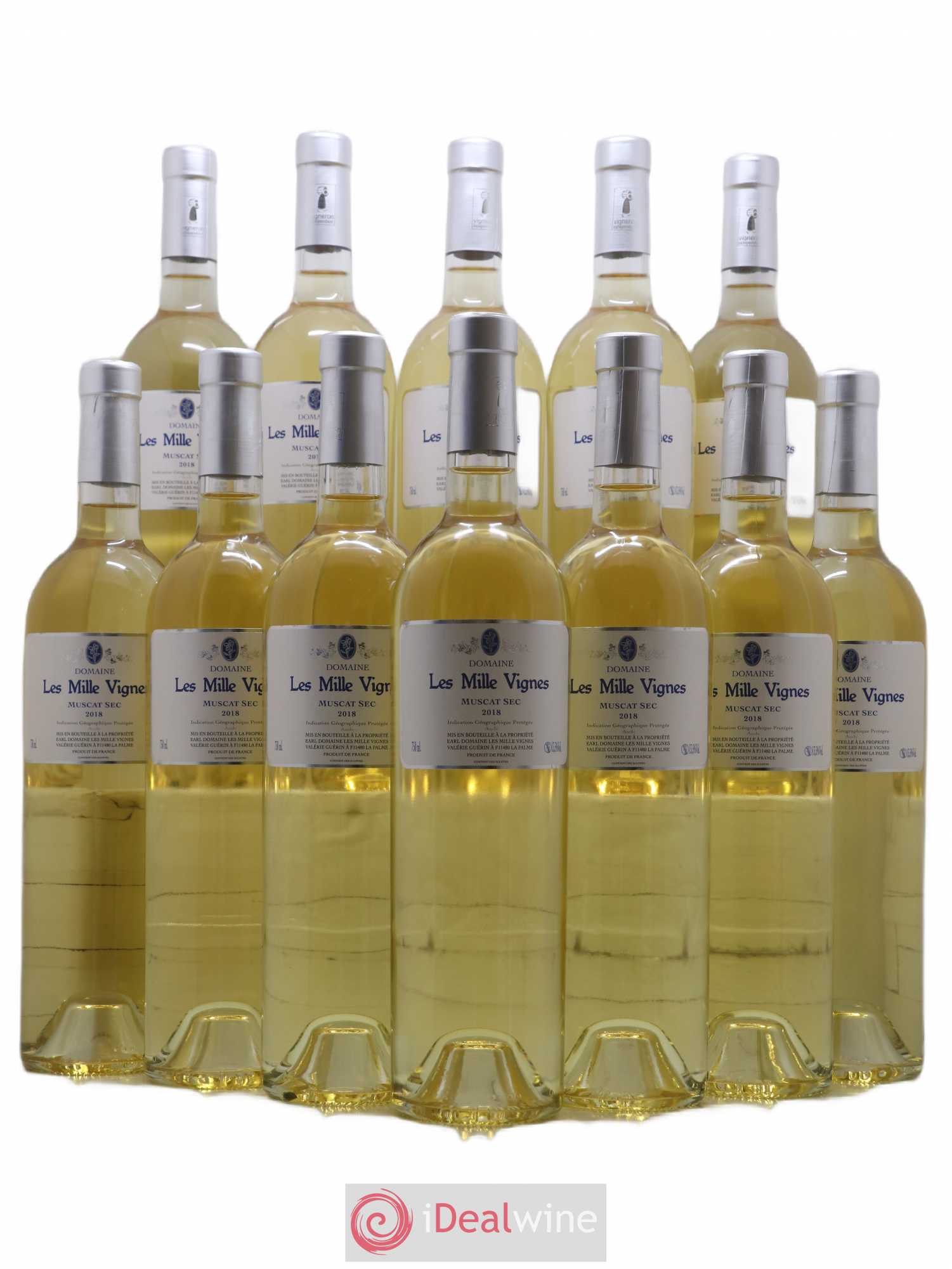 Sud-Ouest Muscat sec Domaine Les Milles Vignes 2018 - Posten von 12 Flaschen - 0