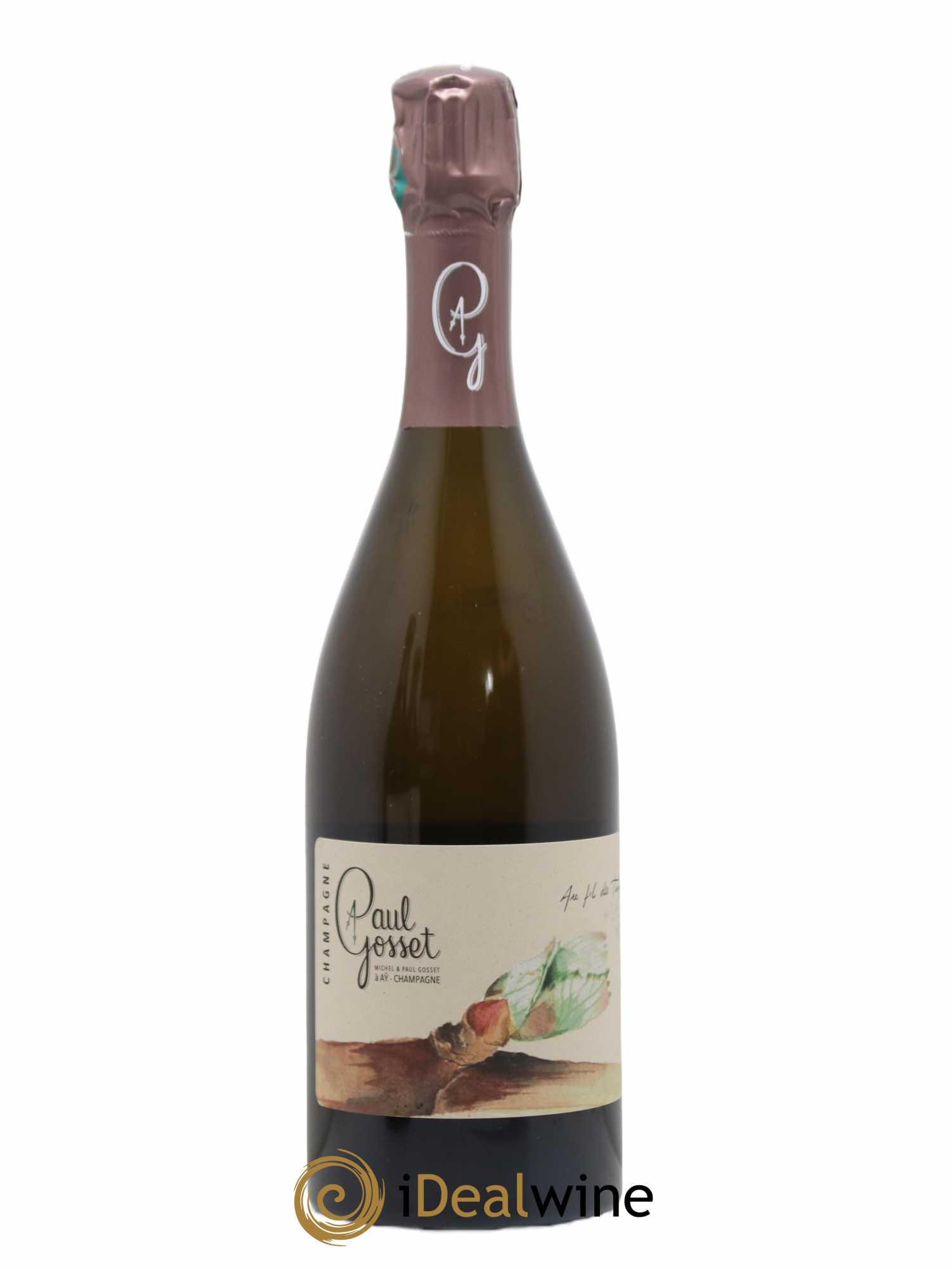 Champagne Le Printemps Paul Gosset - Posten von 1 Flasche - 0