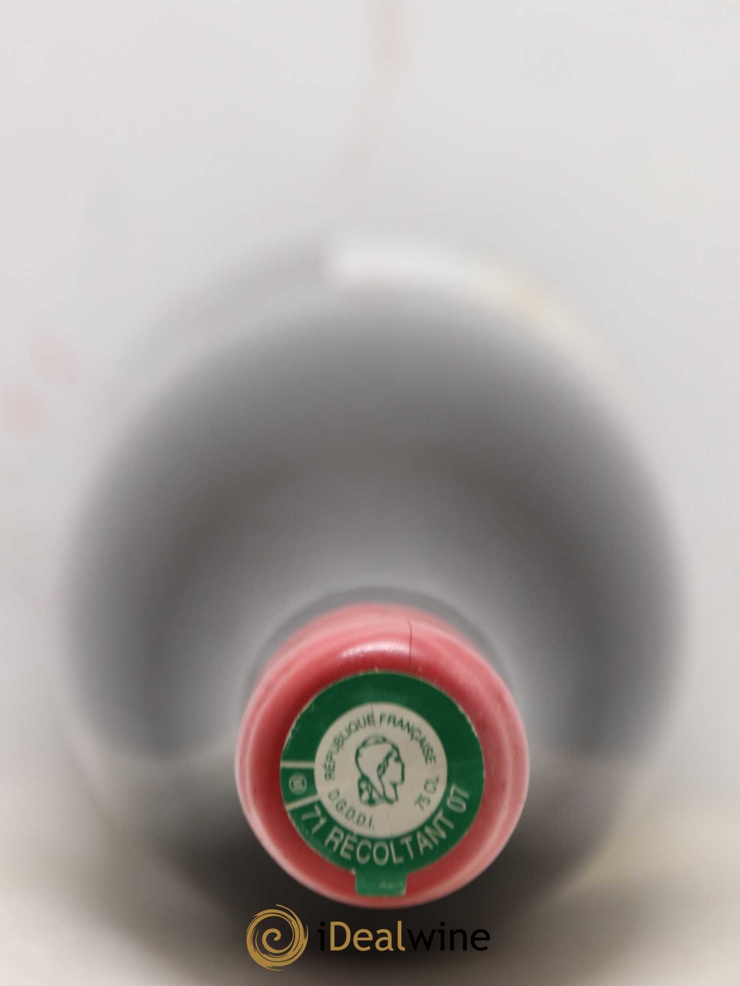 Arbois ploussard en aspis 4eme feuille Bruyere houillon 2018 - Posten von 1 Flasche - 2
