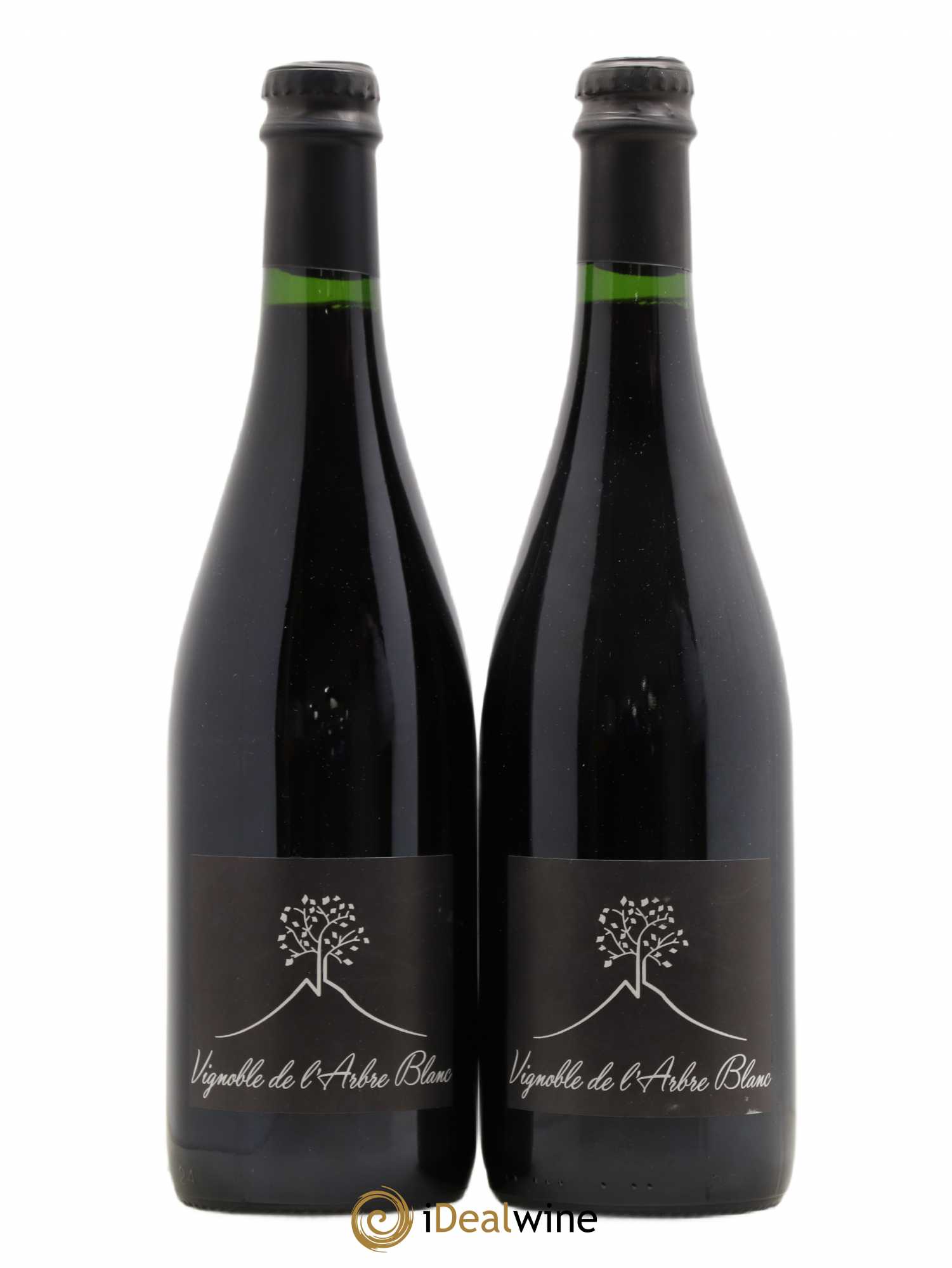 Vin de France Les Orgues Vignoble de l'Arbre Blanc 2017 - Lot of 2 bottles - 0