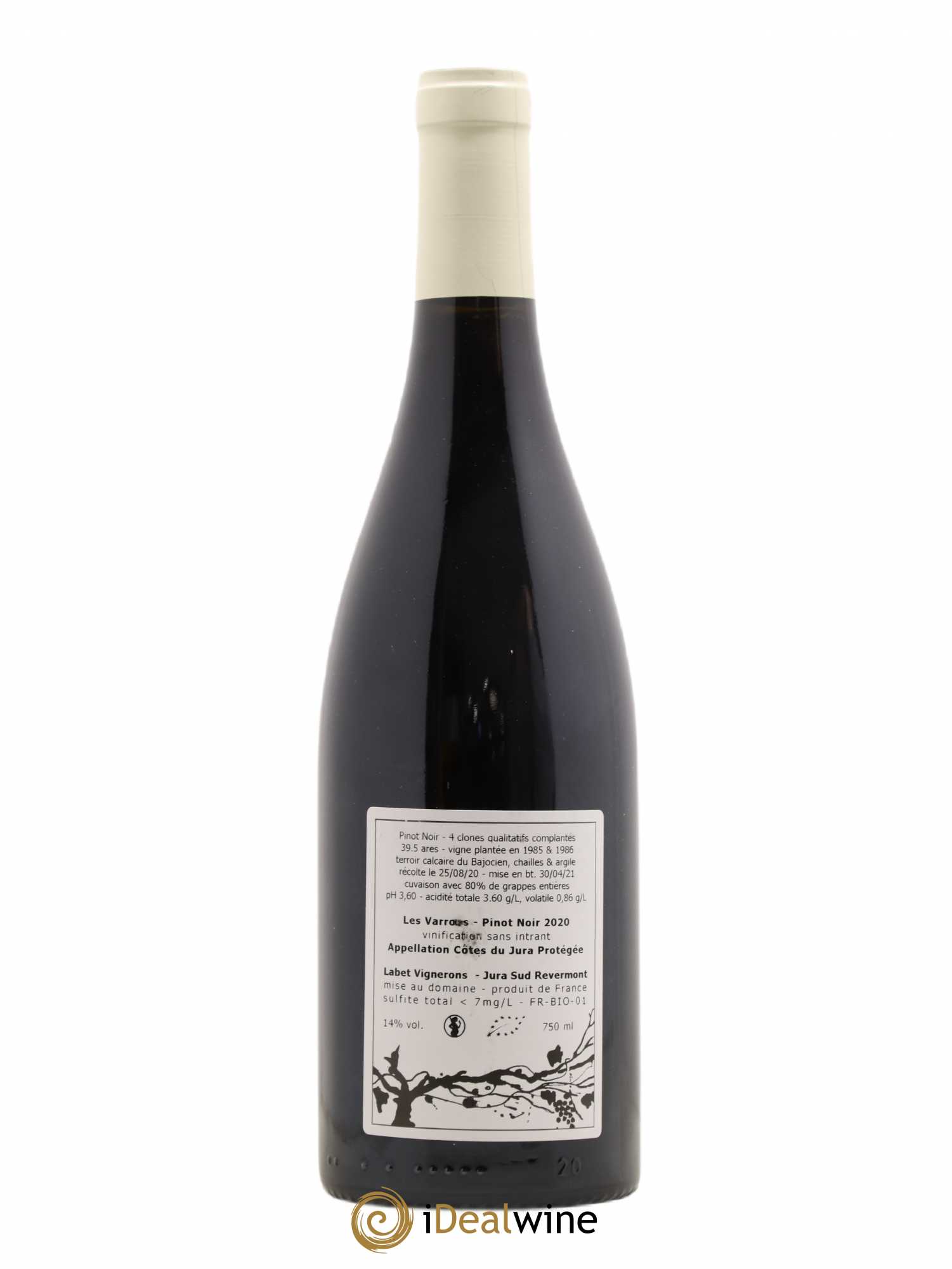 Côtes du Jura Pinot Noir Les Varrons Sélection Massale Romain - Julien - Charline Labet 2020 - Lot de 1 bouteille - 1