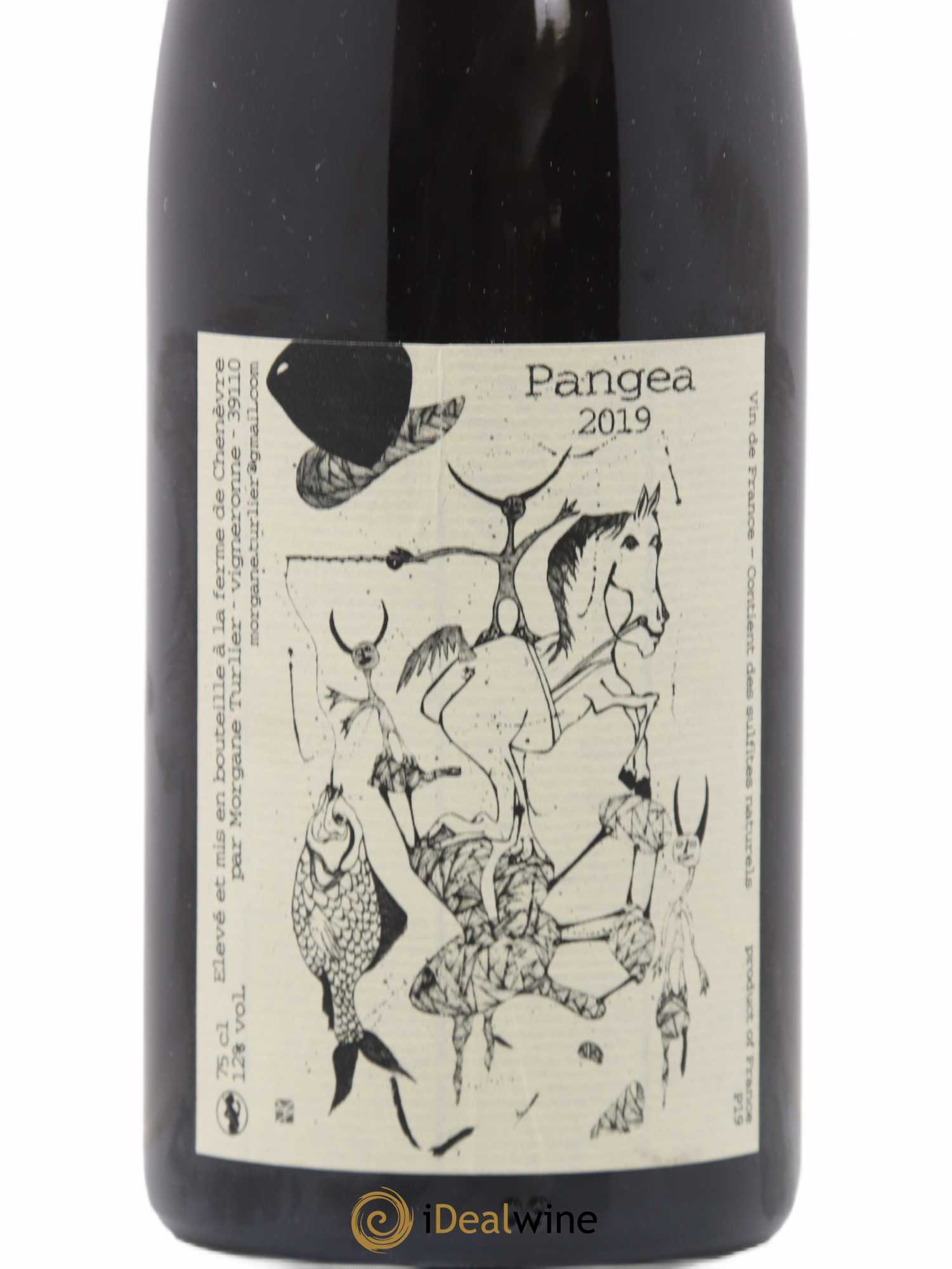 Vin de France Pangea Morgane Turlier 2019 - Lot de 1 bouteille - 1