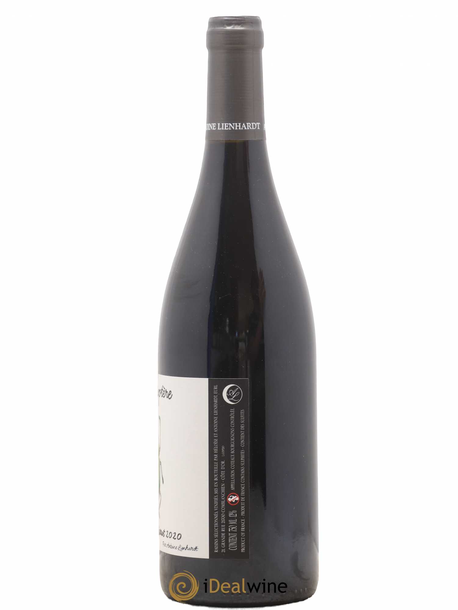Bourgogne Côteaux bourguignons Gamyoptère Gamay du Pierrot Antoine Lienhardt 2020 - Posten von 1 Flasche - 1