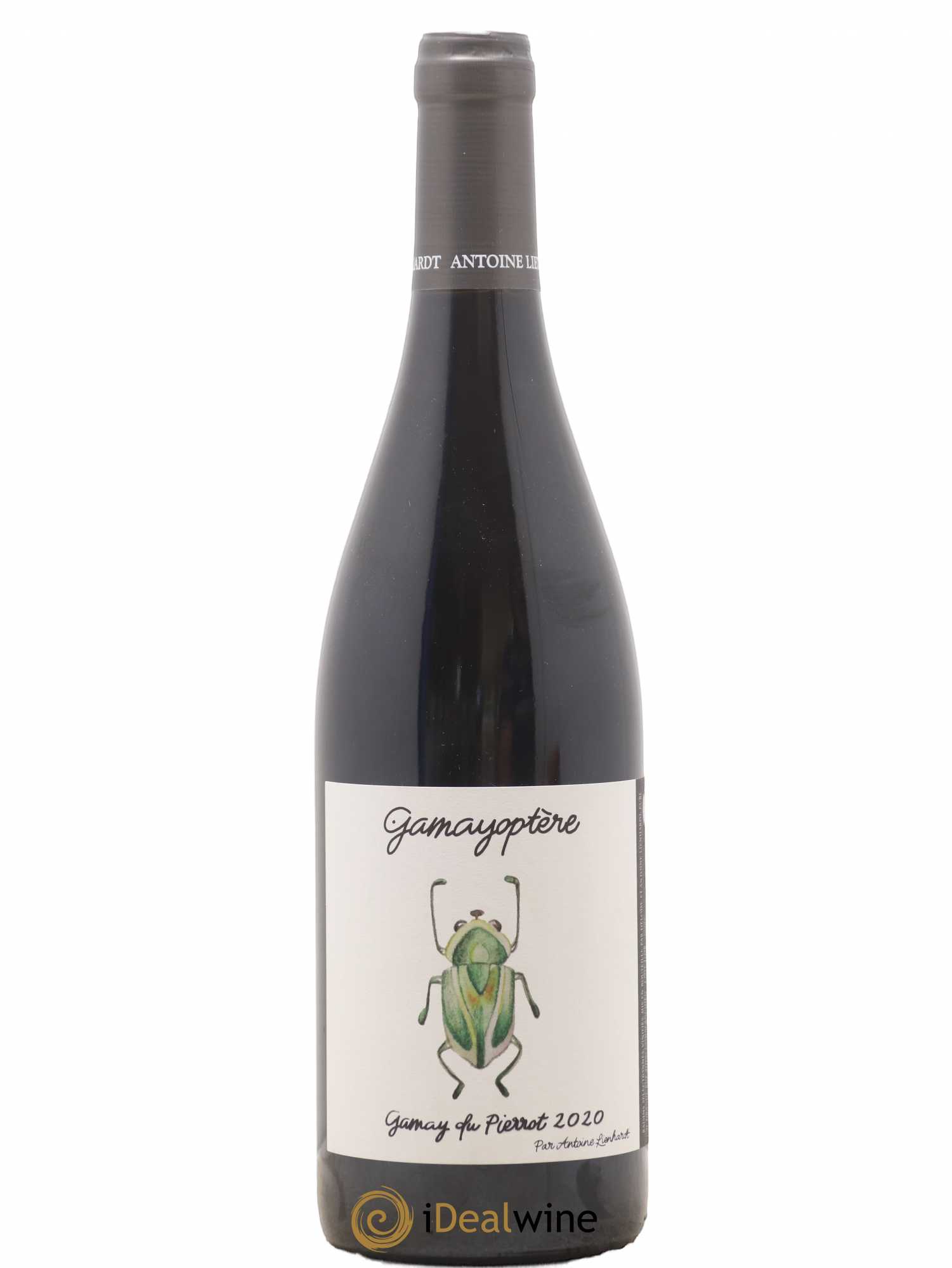 Bourgogne Côteaux bourguignons Gamyoptère Gamay du Pierrot Antoine Lienhardt 2020 - Posten von 1 Flasche - 0