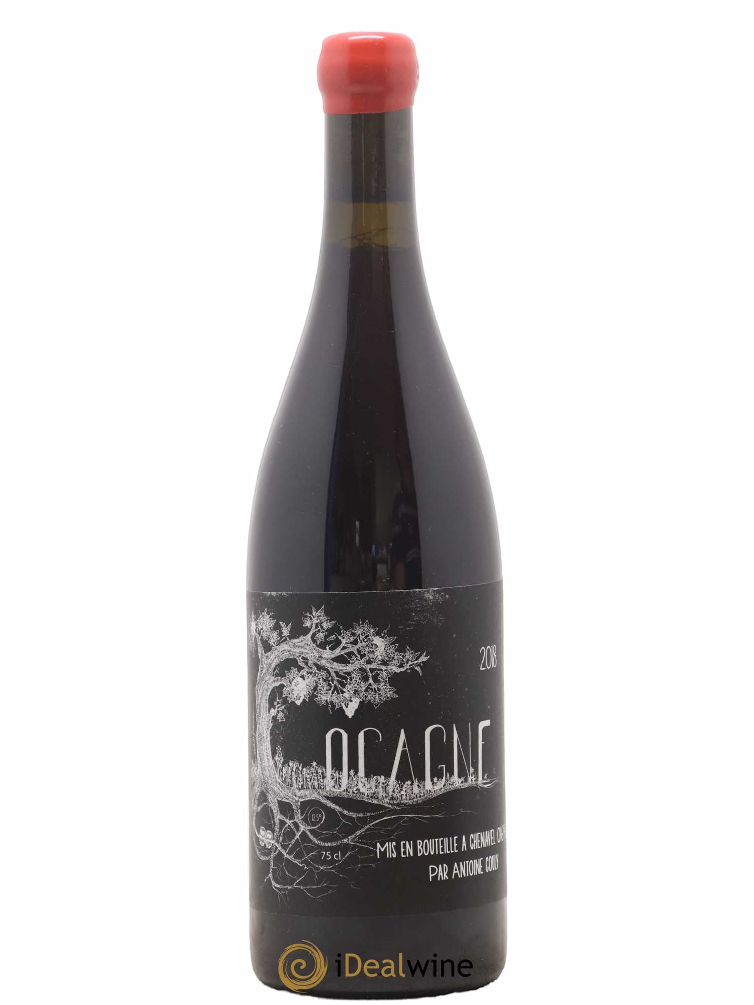 Vin de France Bugey Cocagne Antoine Couly 2018 - Posten von 1 Flasche - 0