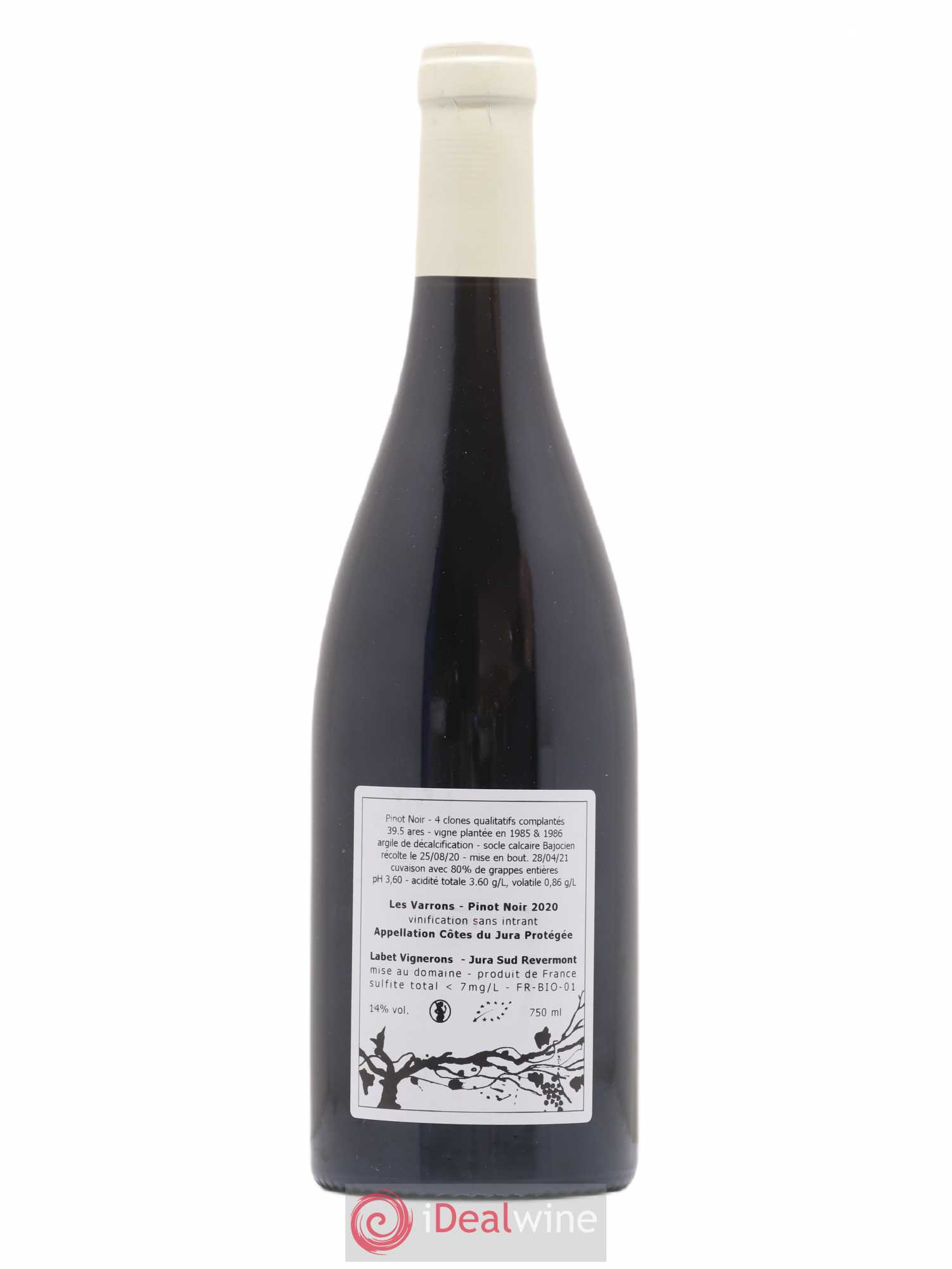 Côtes du Jura Pinot Noir Les Varrons Sélection Massale Romain - Julien - Charline Labet 2020 - Lot de 1 bouteille - 1