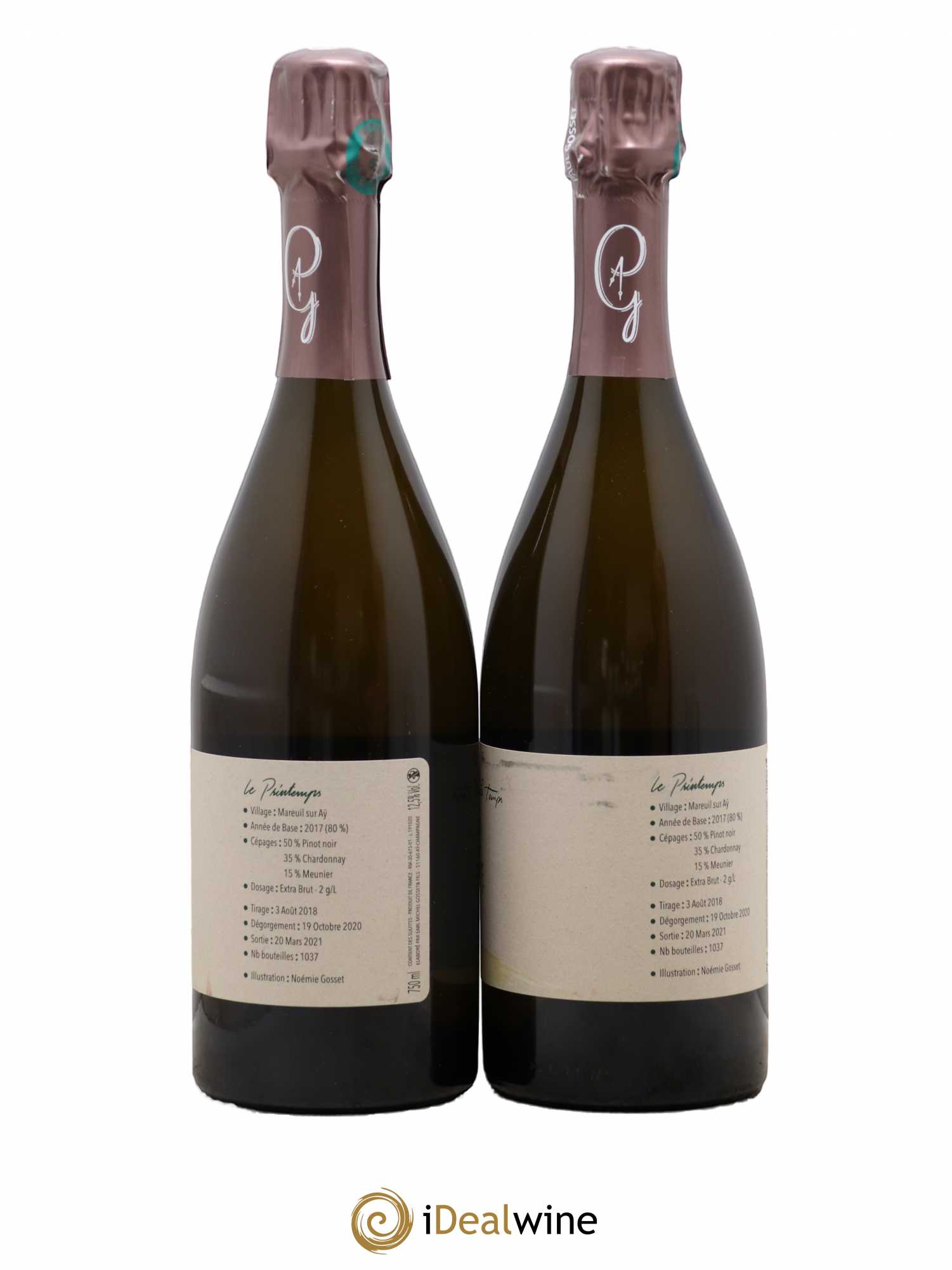 Champagne - Posten von 2 Flaschen - 1