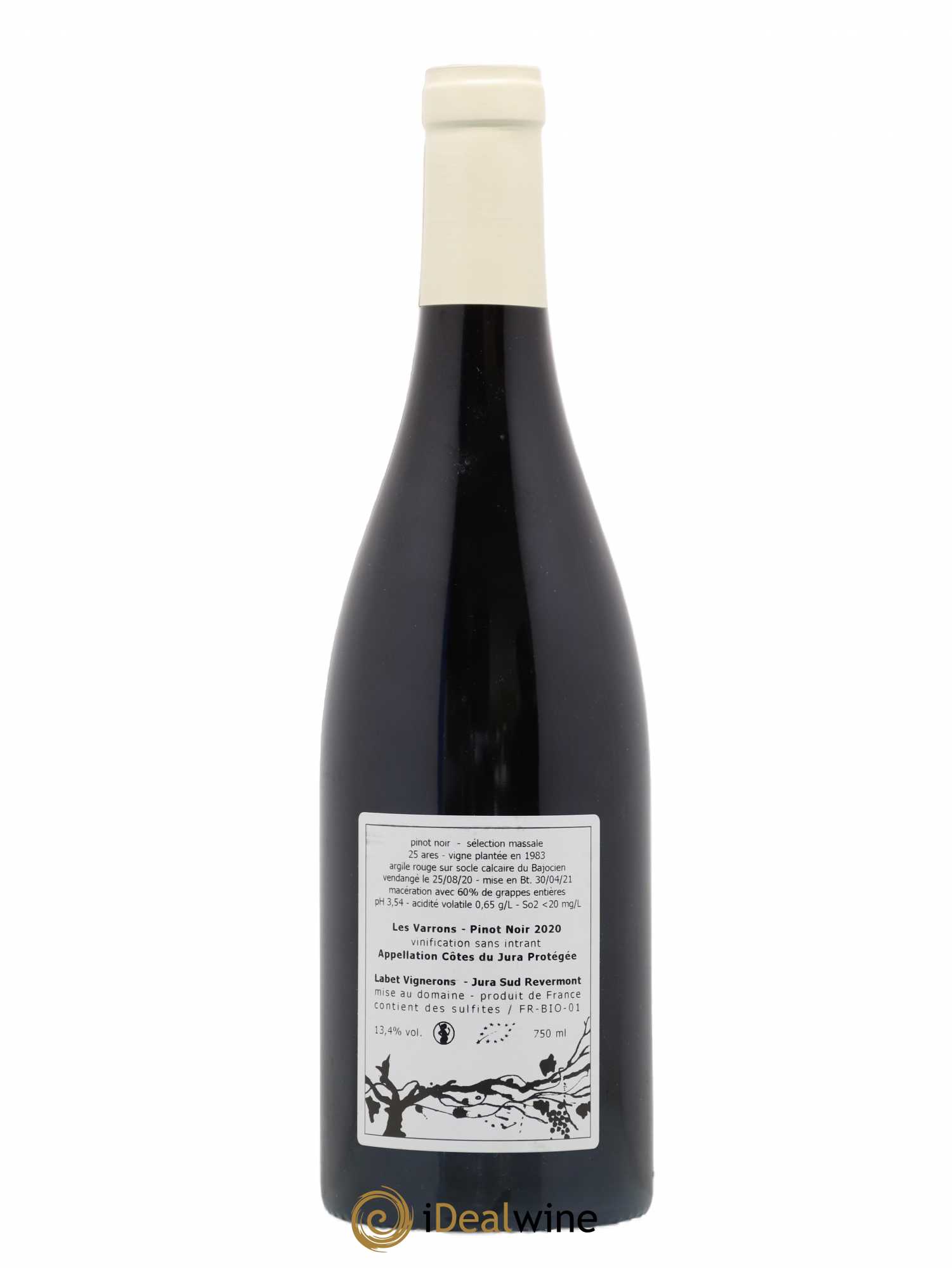 Côtes du Jura Pinot Noir Les Varrons Sélection Massale Romain - Julien - Charline Labet 2020 - Lot de 1 bouteille - 1