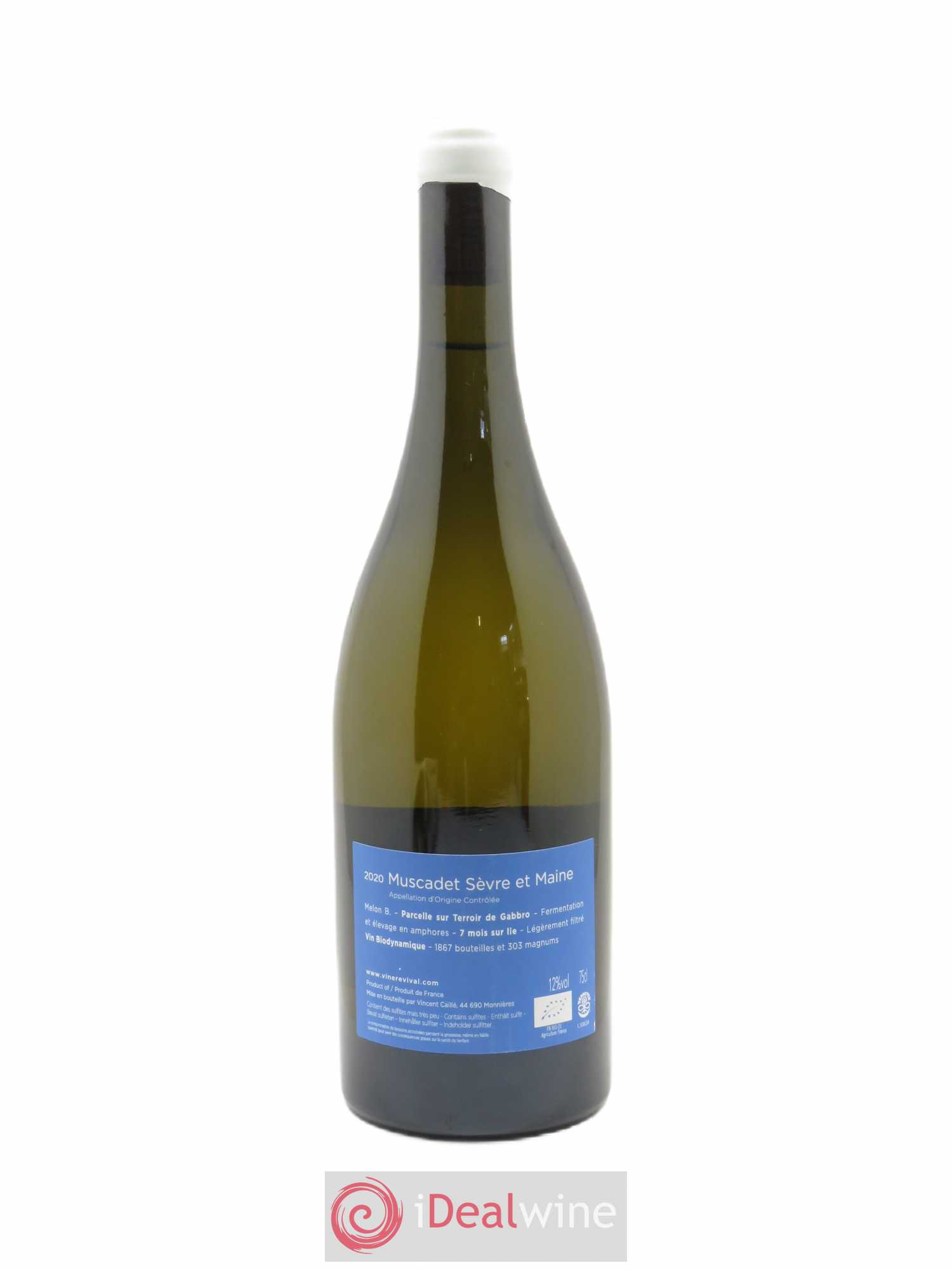 Muscadet-Sèvre-et-Maine Terre de Gabbro Le Fay d'Homme 2020 - Lot de 1 bouteille - 1