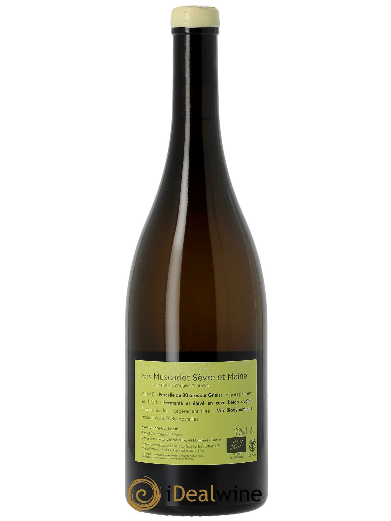Muscadet-Sèvre-et-Maine Terre de Gneiss Le Fay d'Homme 2019 - Lot de 1 bouteille - 1