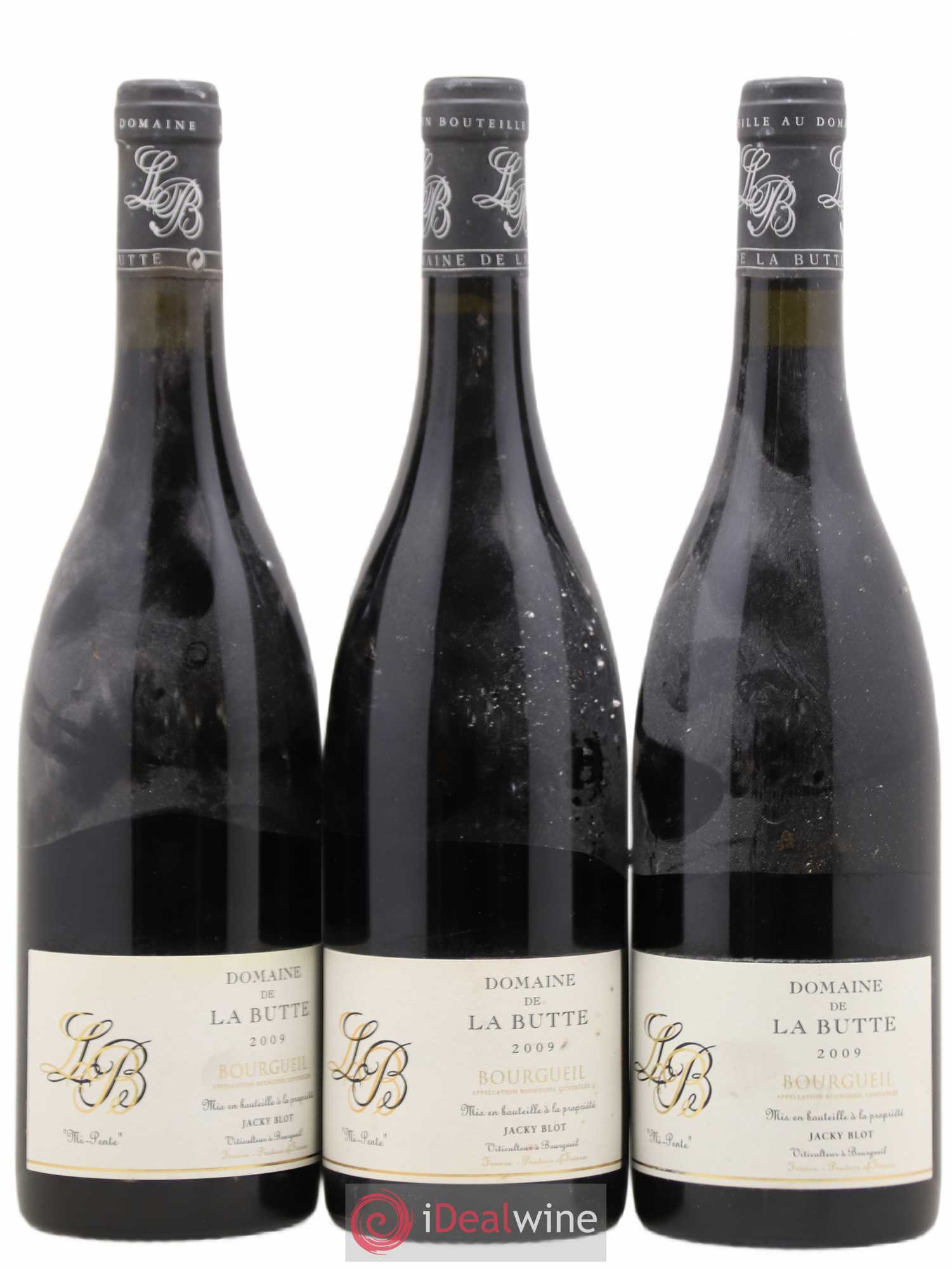 Bourgueil Mi-Pente Domaine de La Butte - Jacky Blot 2009 - Lot de 3 bouteilles - 0