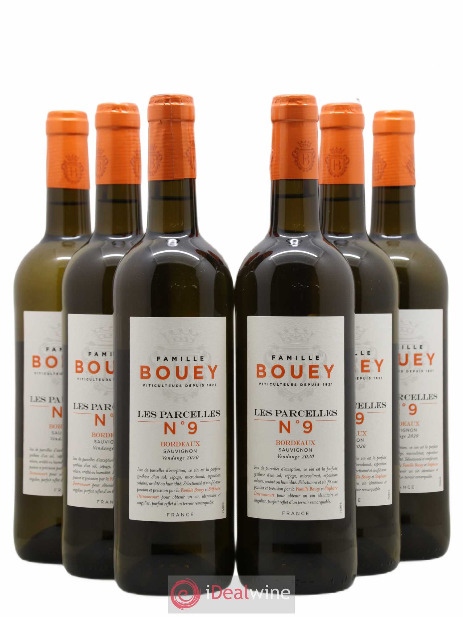 Bordeaux Les Parcelles - Sauvignon blanc (sans prix de réserve) 2020 - Posten von 6 Flaschen - 0