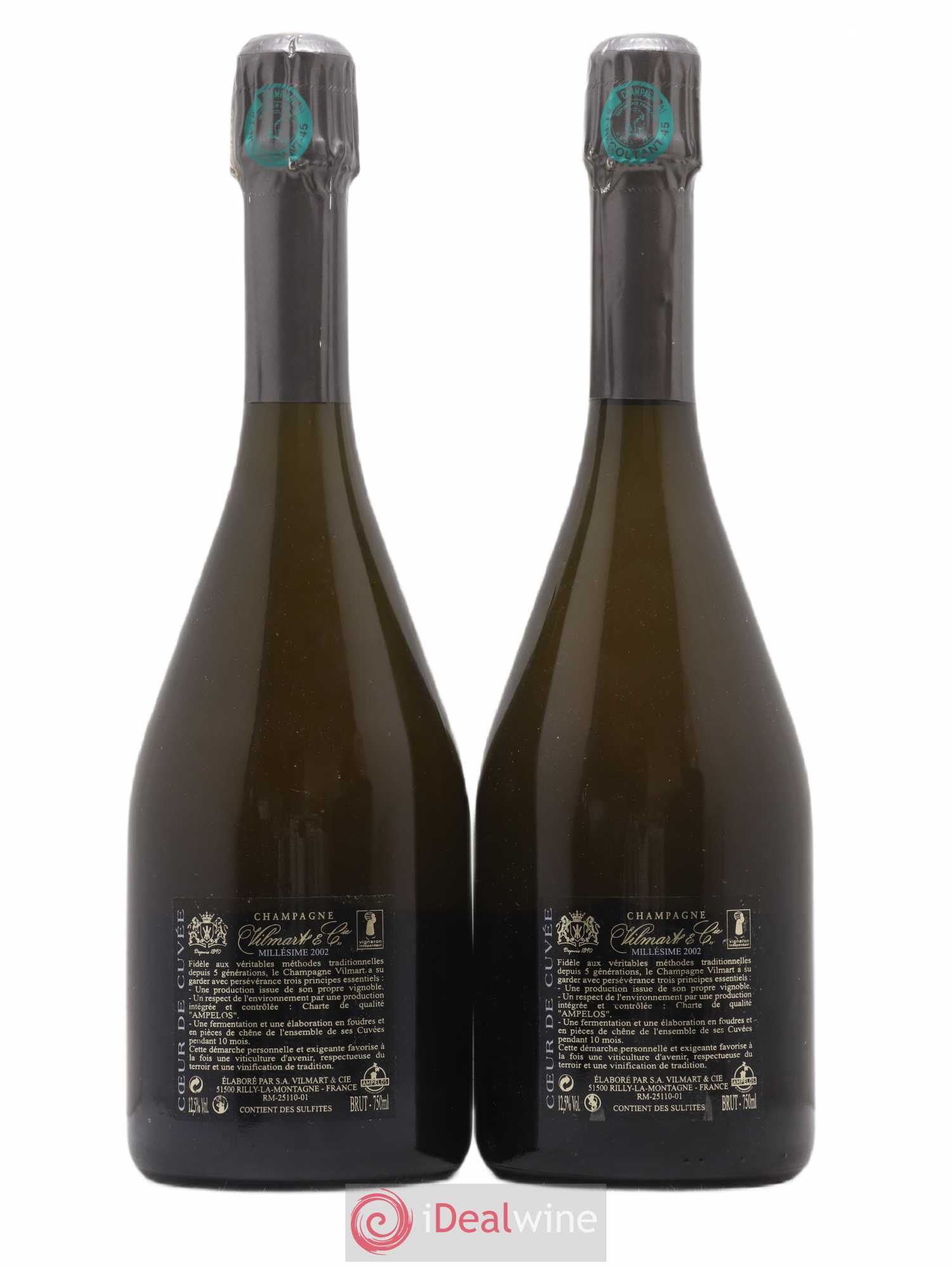 Champagne 2002 - Posten von 2 Flaschen - 1