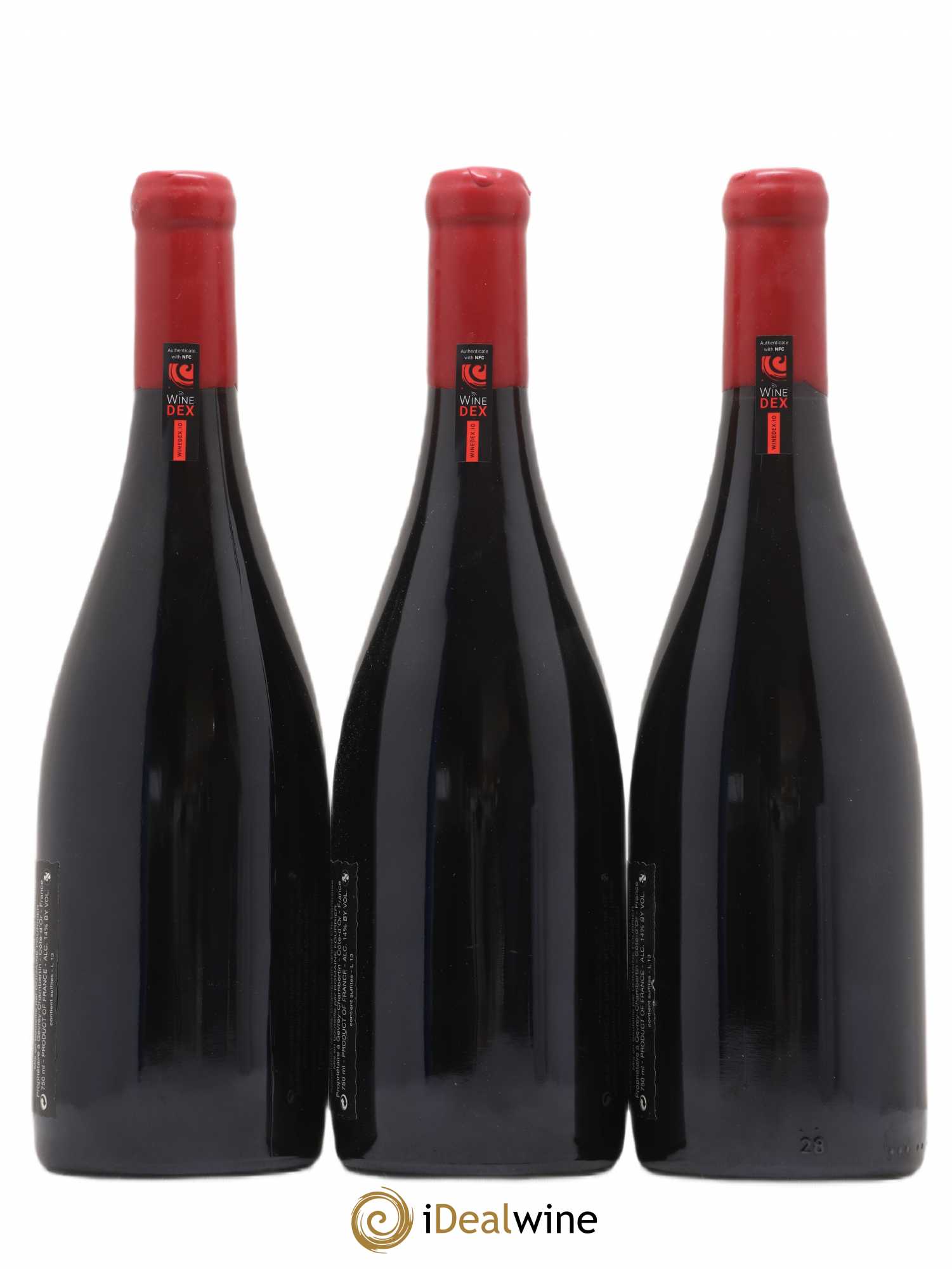 Griotte-Chambertin Grand Cru Vieille Vigne Fourrier (Domaine) 2013 - Lot de 3 bouteilles - 2