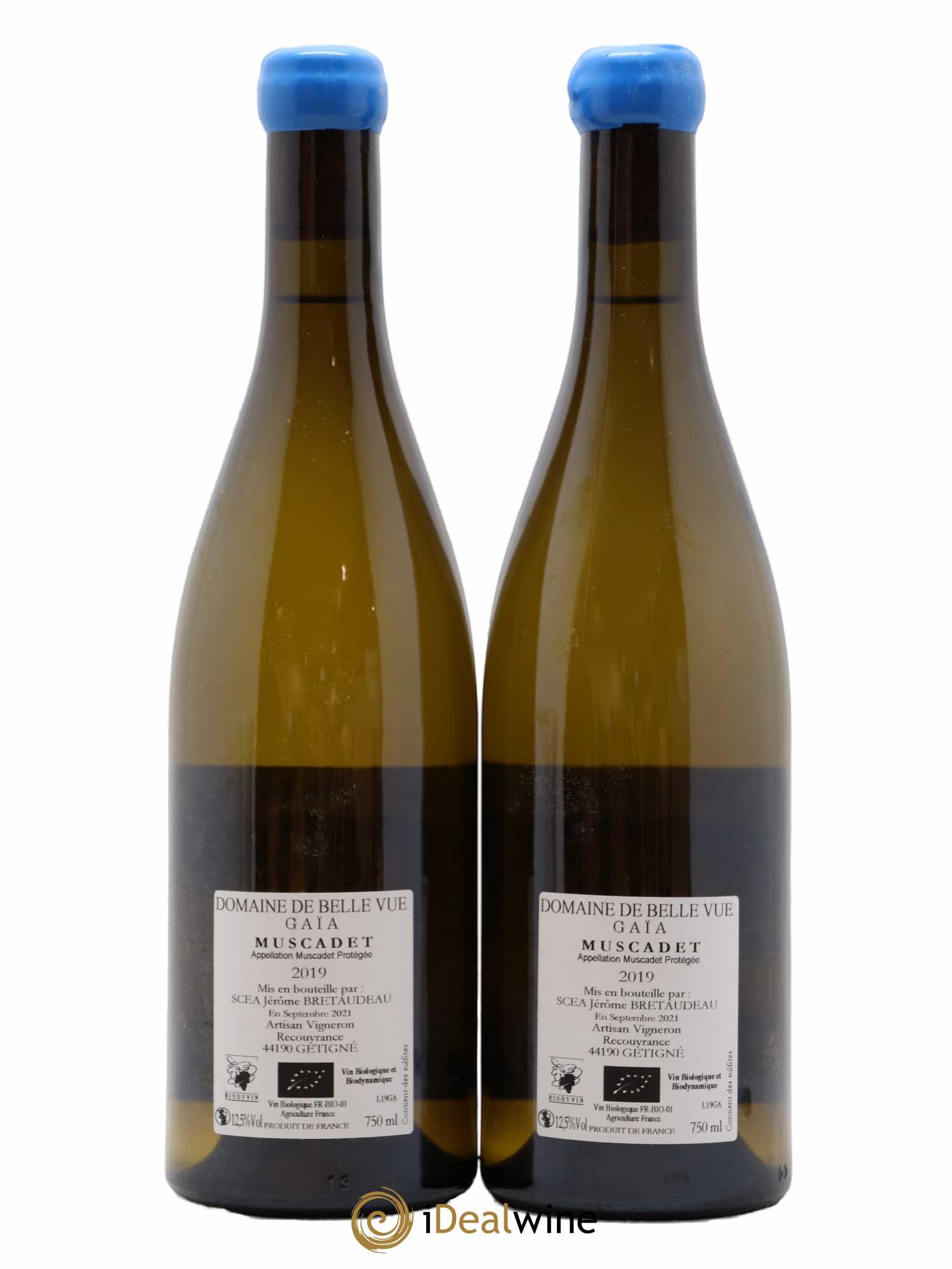 Muscadet Gaia domaine de Bellevue 2019 - Lot de 2 bouteilles - 1