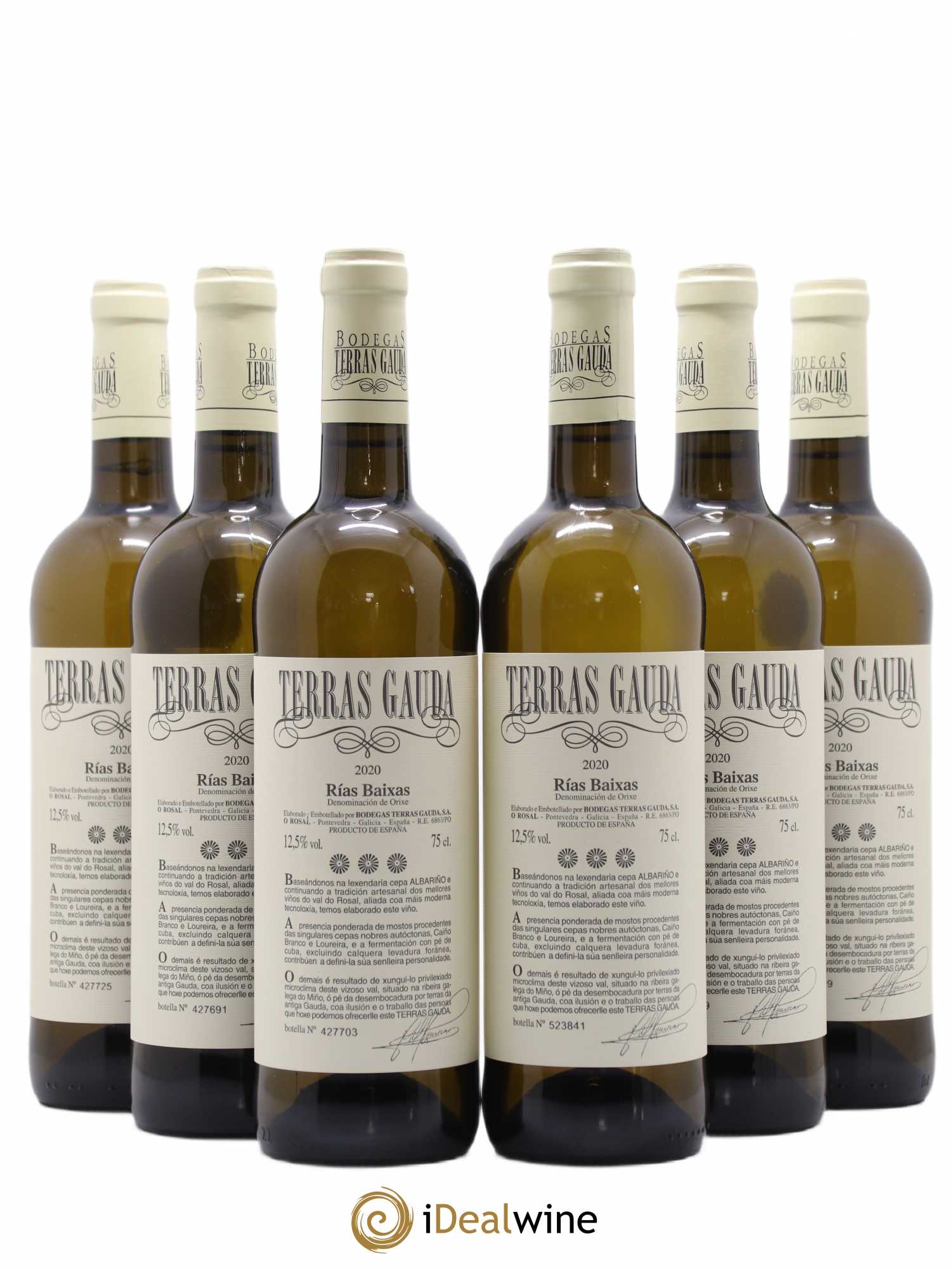Rias Baixas Albarino Terras Gauda  2020 - Lotto di 4 bottiglie - 1