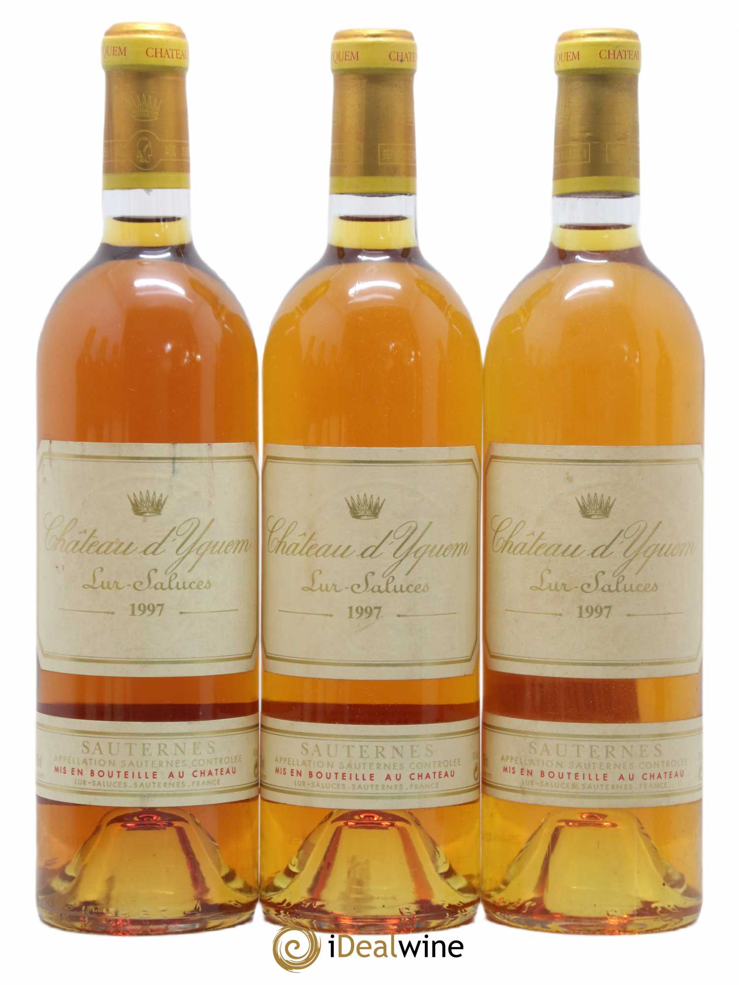 Château d' Yquem 1er Cru Classé Supérieur 1997 - Lotto di 12 bottiglie - 1