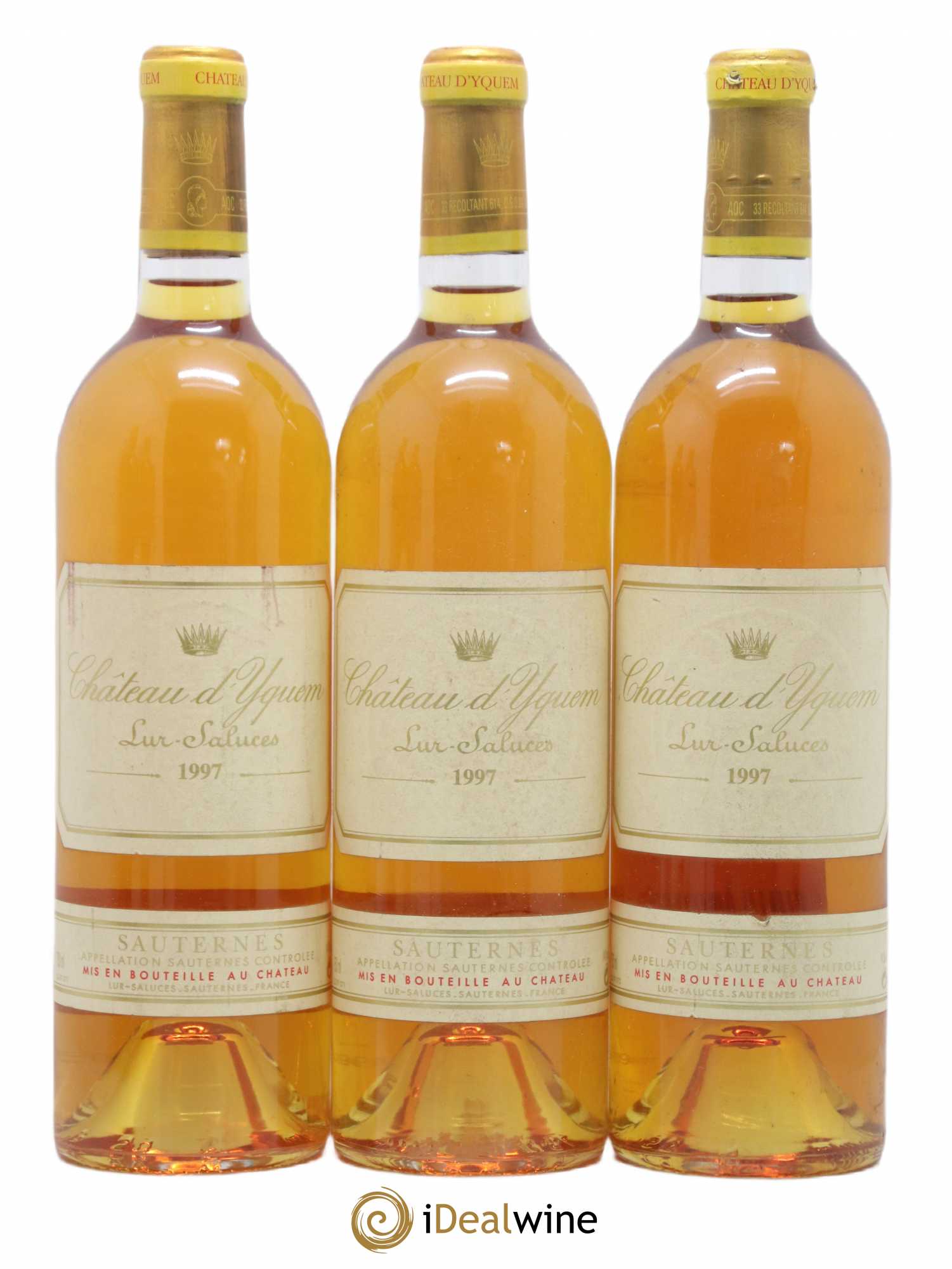 Château d' Yquem 1er Cru Classé Supérieur 1997 - Lotto di 12 bottiglie - 2