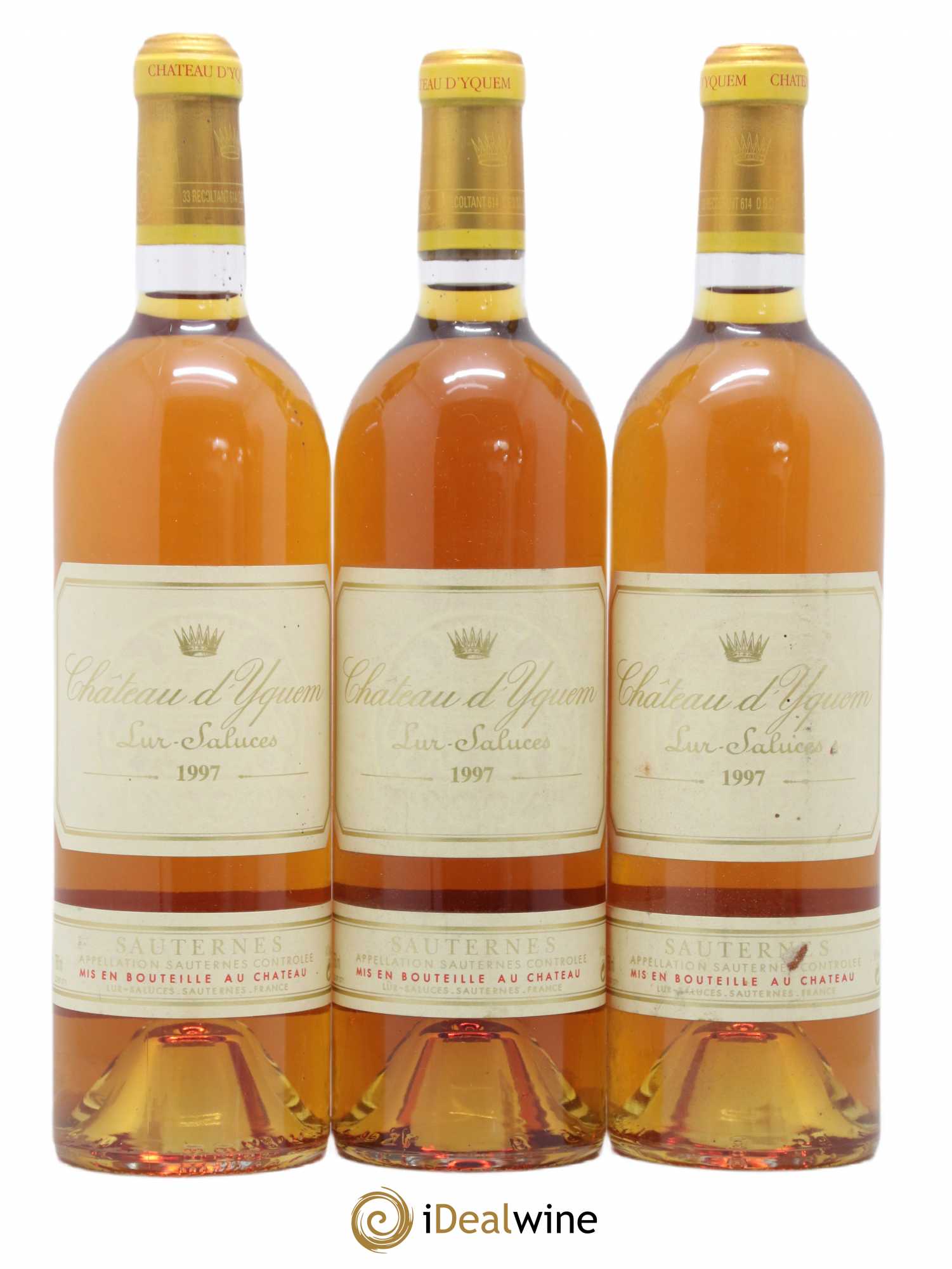 Château d' Yquem 1er Cru Classé Supérieur 1997 - Lotto di 12 bottiglie - 4