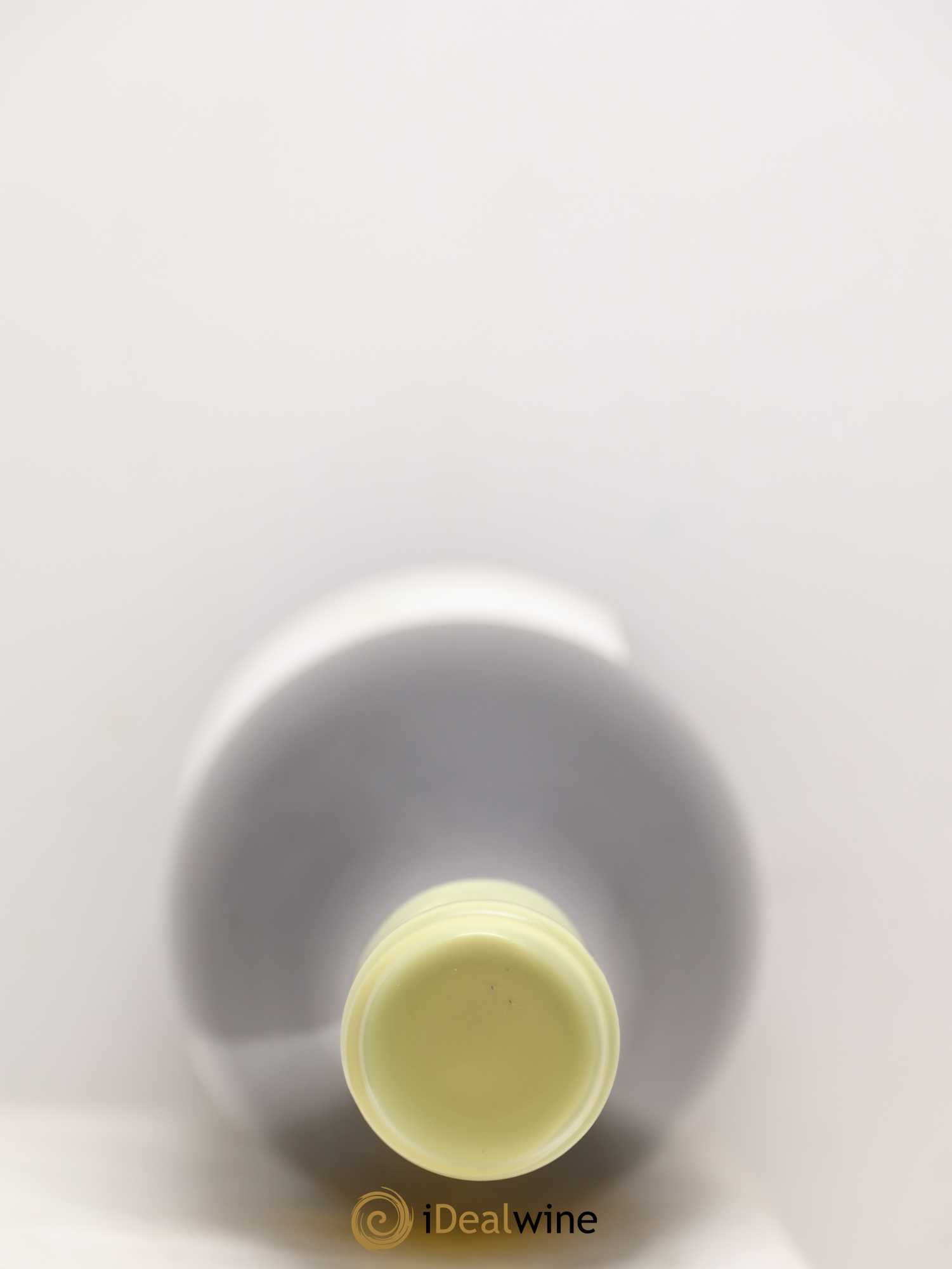 Bourgogne Aligoté Les Champs d'Argent Charles Lachaux 2019 - Lot de 2 bouteilles - 2