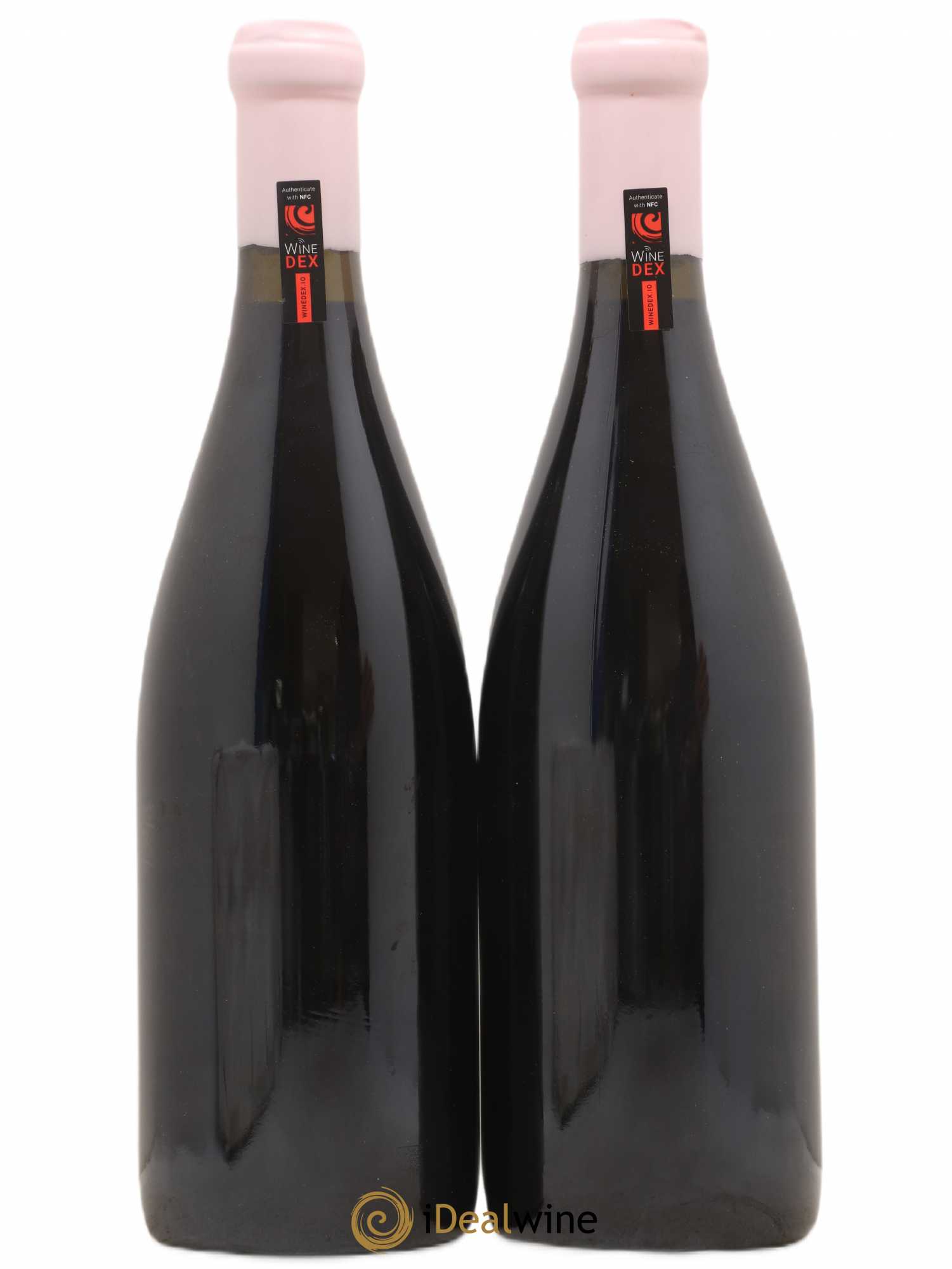Côte de Nuits-Villages Aux Montagnes Charles Lachaux 2019 - Lot de 2 bouteilles - 1