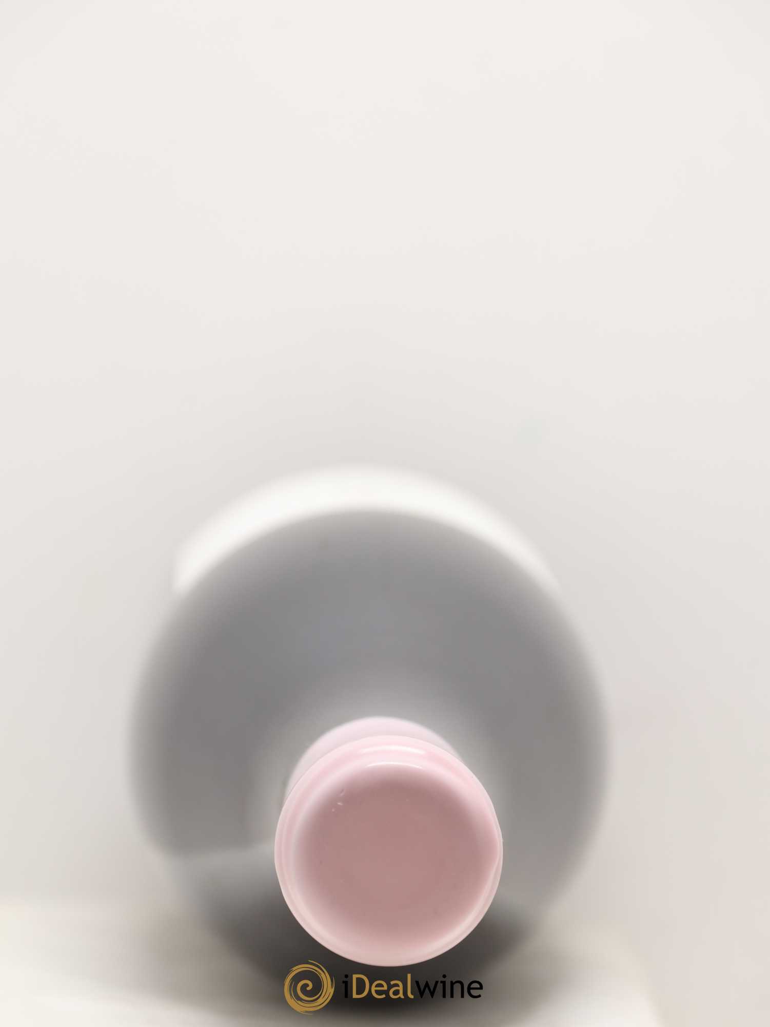 Côte de Nuits-Villages Aux Montagnes Charles Lachaux 2019 - Lot de 2 bouteilles - 2