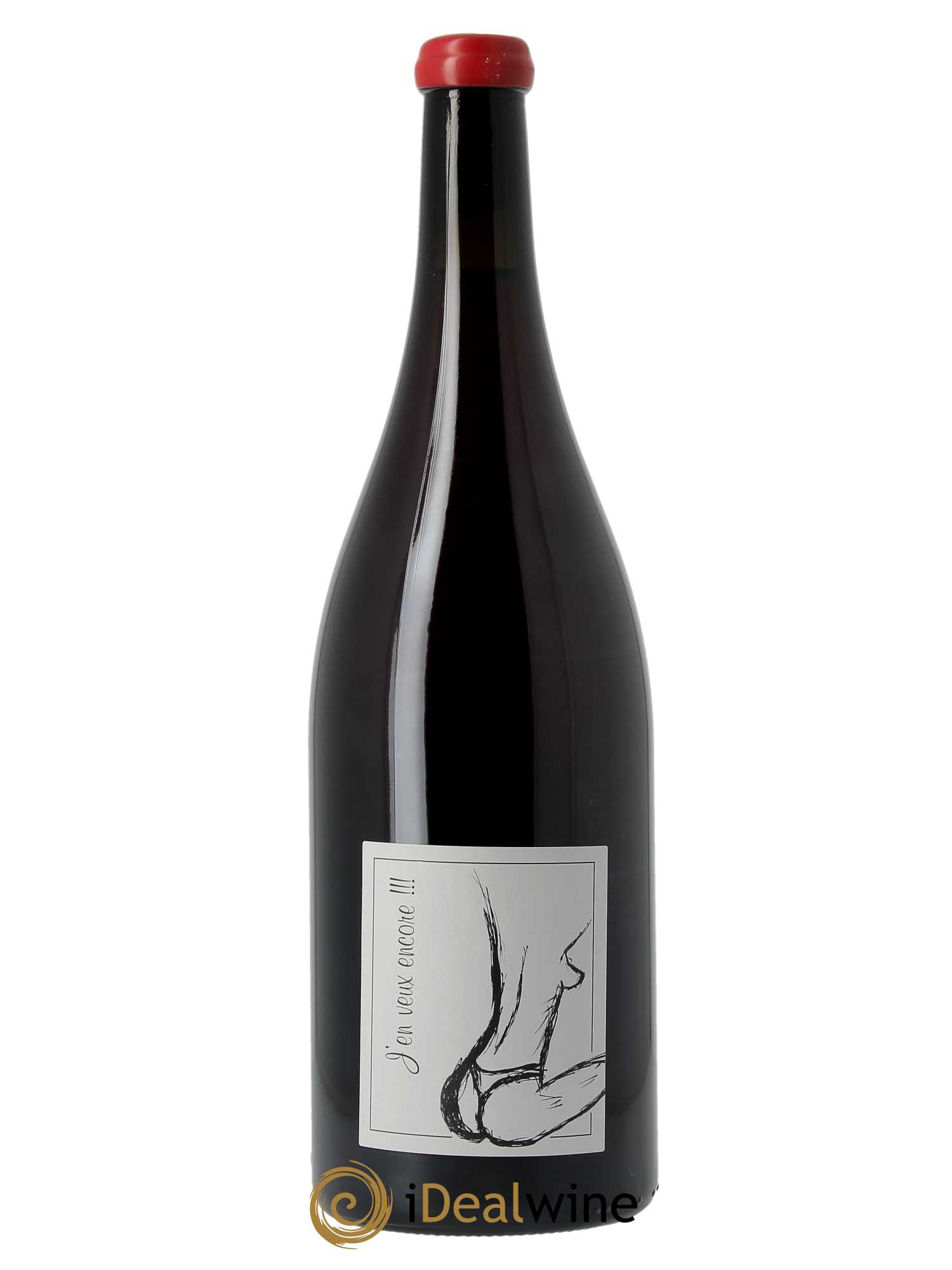 Vin de France J'en veux encore Anne et Jean François Ganevat  - Lotto di 1 magnum - 0