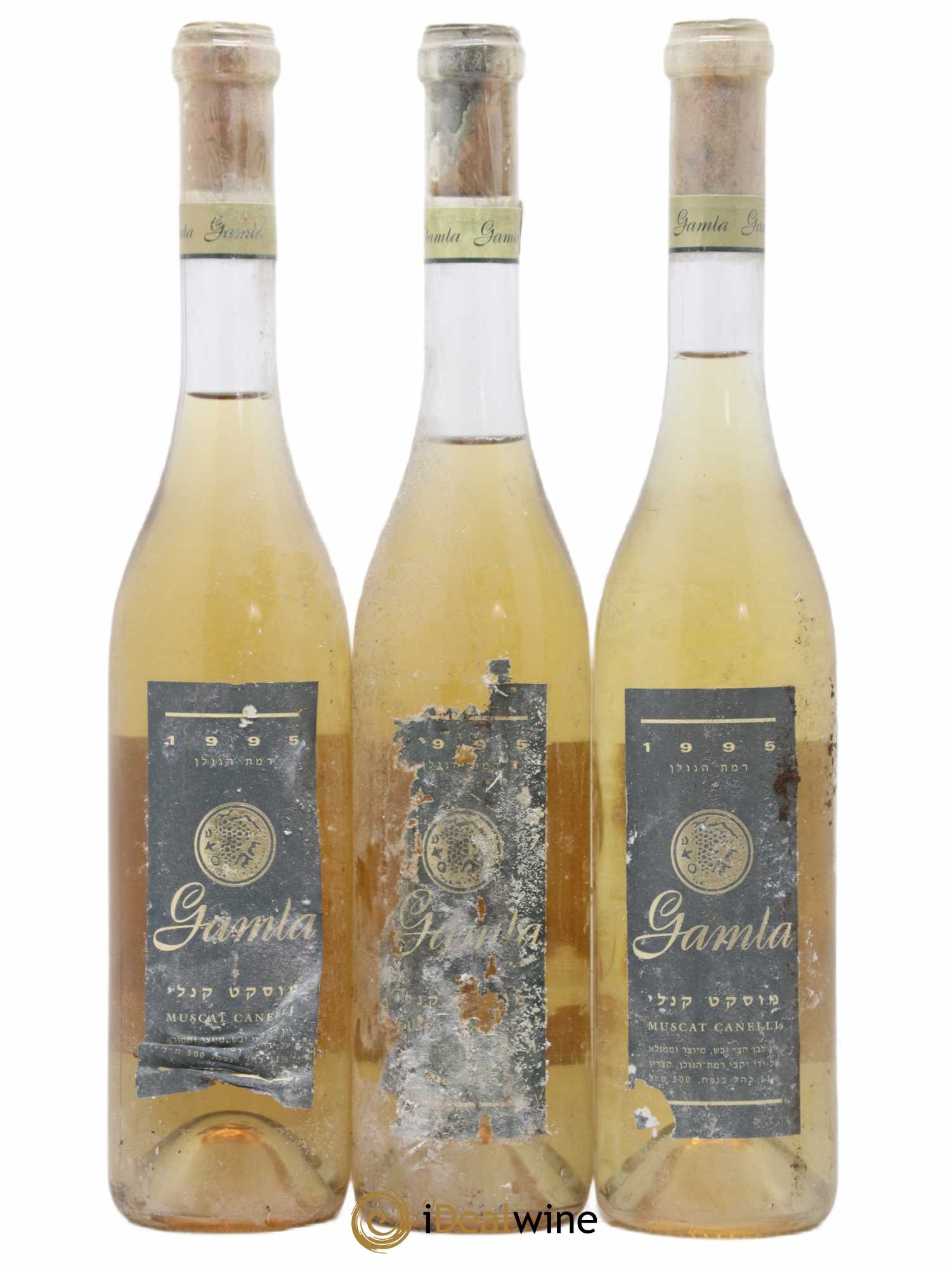 Israël Muscat Canelli Gamla 50 CL 1995 - Posten von 3 Flaschen - 0