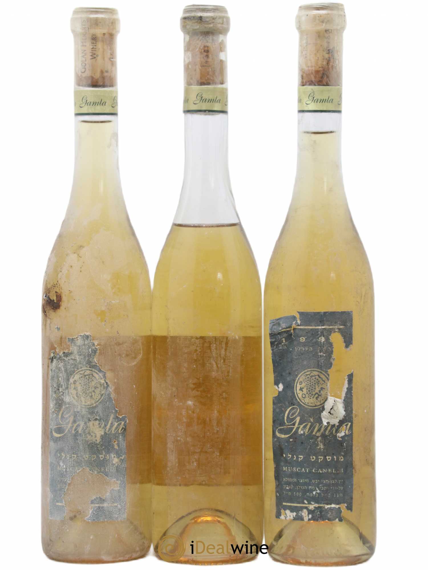 Israël Muscat Canelli Gamla 50 CL (sans prix de réserve) 1995 - Posten von 3 Flaschen - 0