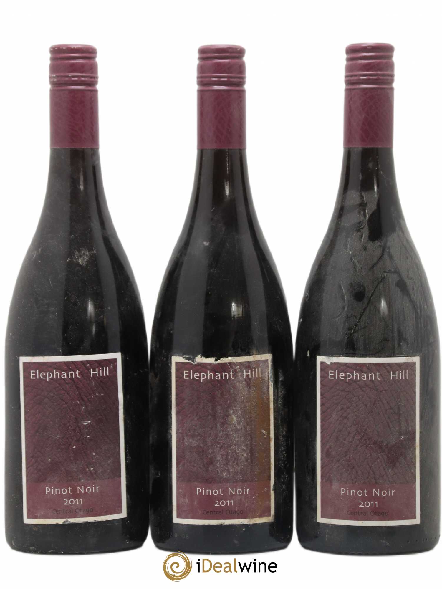 Nouvelle Zélande Pinot Noir Elephant Hill Central Otago Nouvelle Zélande 2011 - Posten von 3 Flaschen - 0