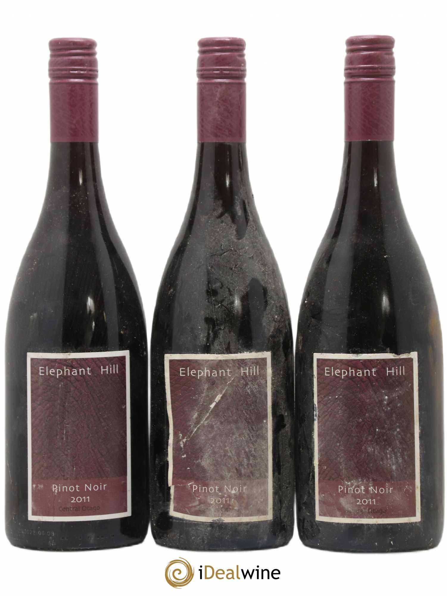 Nouvelle Zélande Pinot Noir Elephant Hill Central Otago Nouvelle Zélande 2011 - Posten von 3 Flaschen - 0