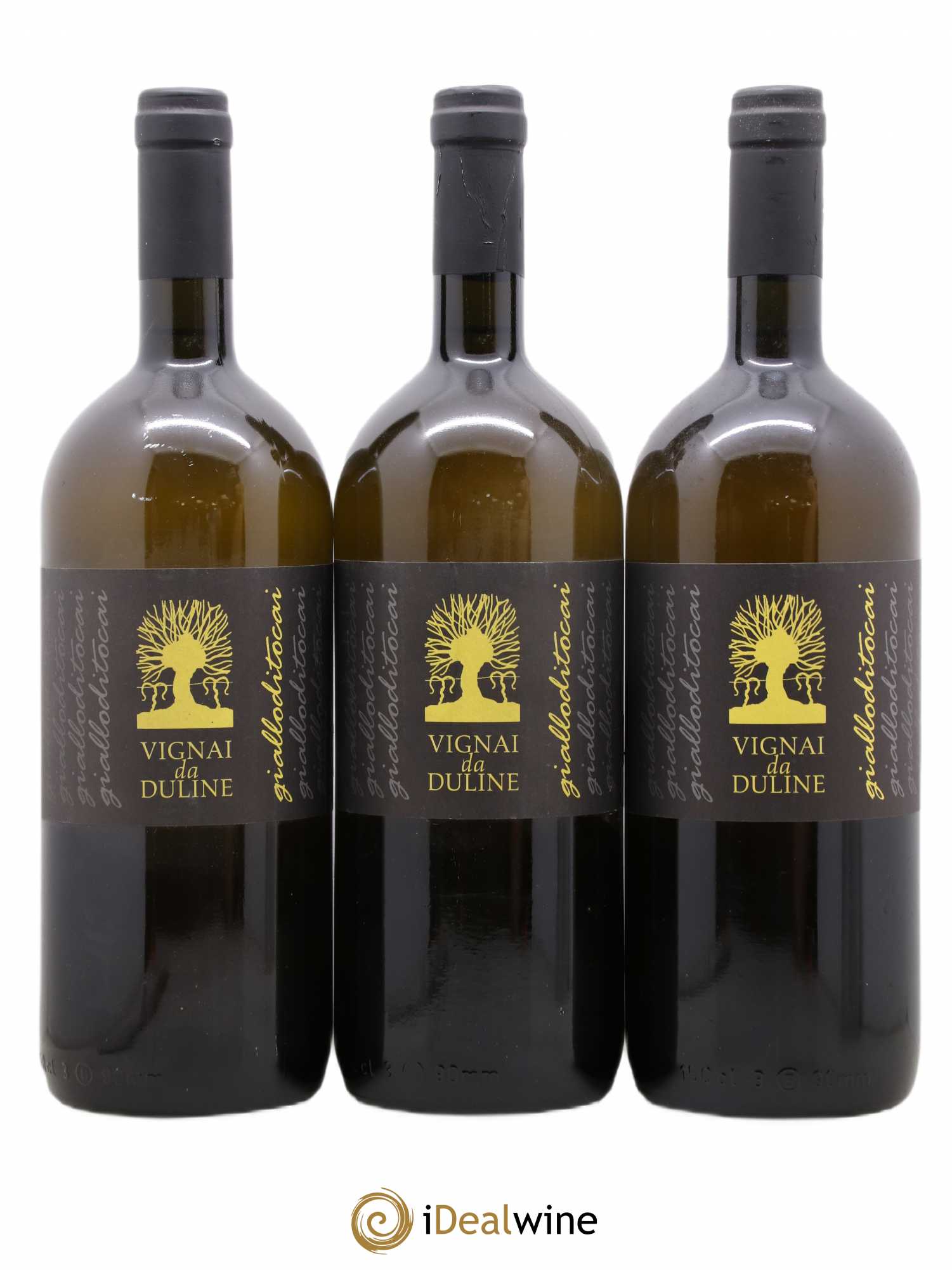 IGT Venezia Giulia Gialloditocai Vignai da Duline 2009 - Posten von 3 Magnum - 0
