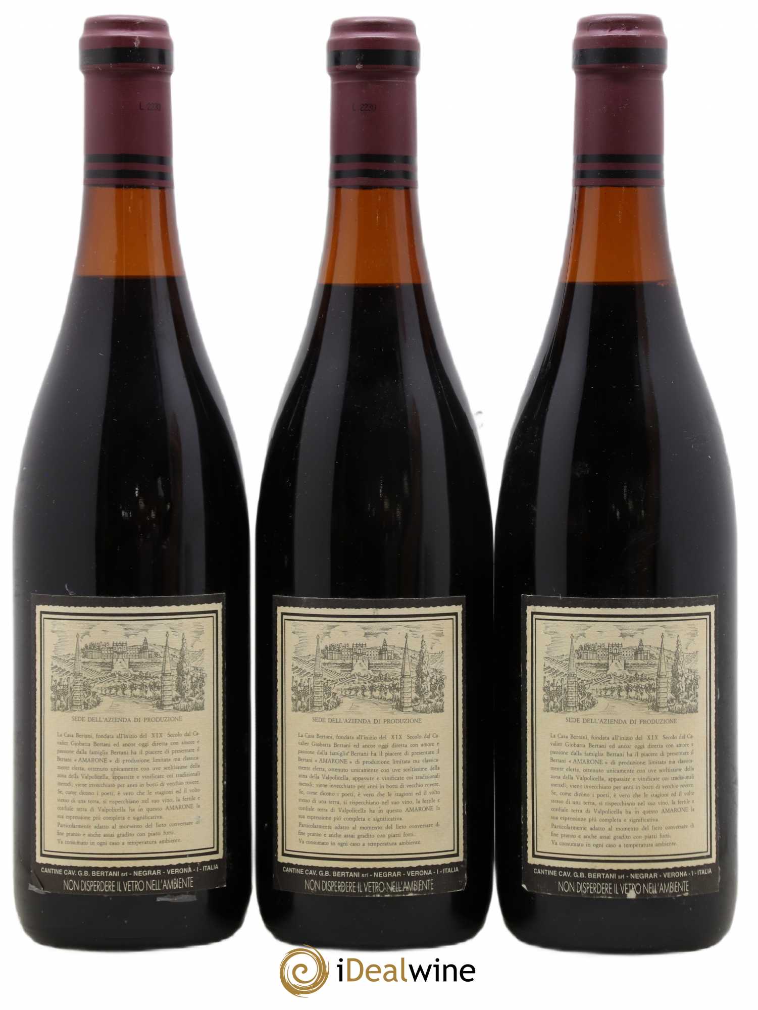 Amarone della Valpolicella DOC Recioto Classico Bertani 1967 - Lot de 3 bouteilles - 1