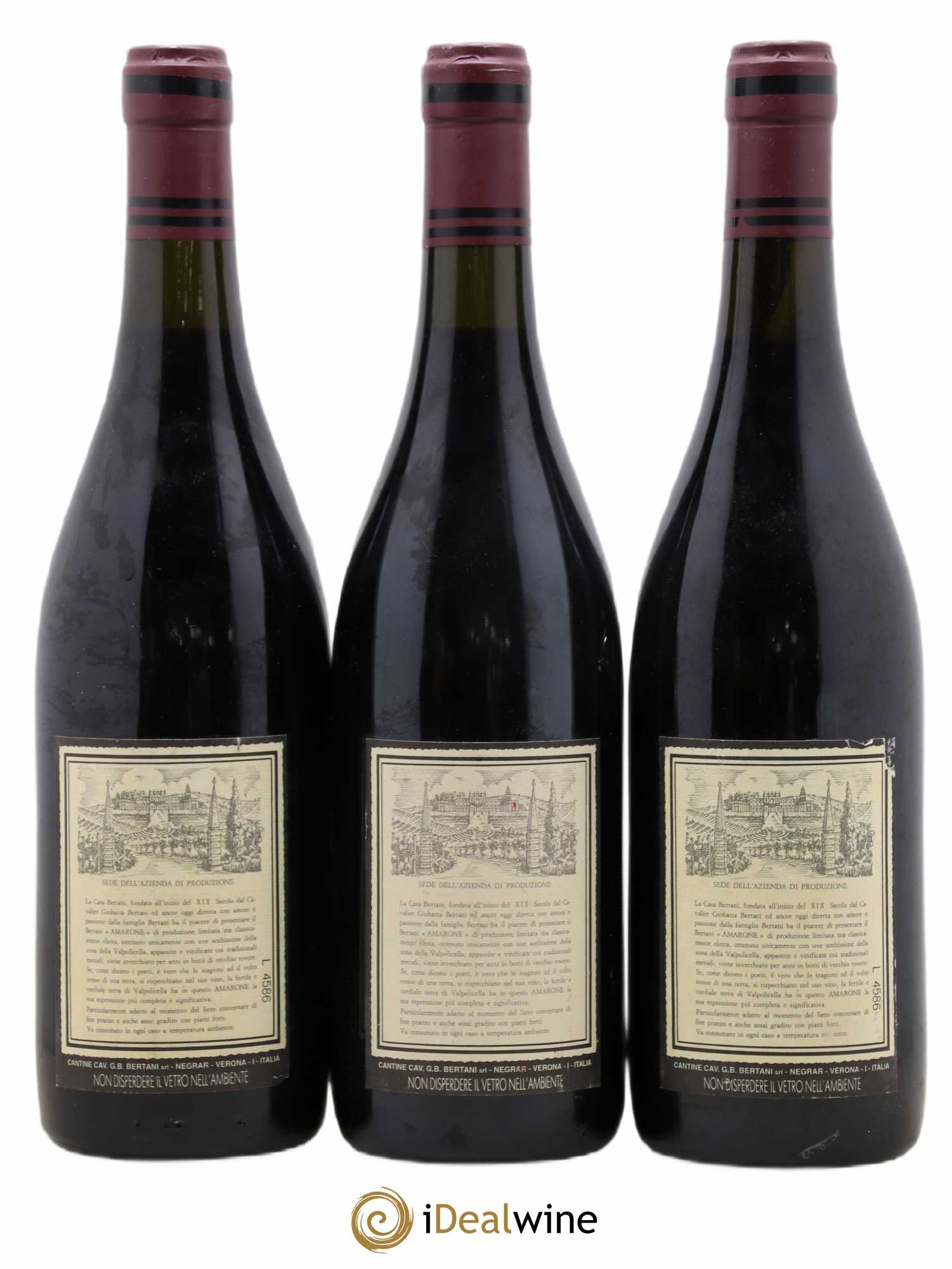 Amarone della Valpolicella DOC Recioto Classico Bertani 1990 - Lot de 3 bouteilles - 1