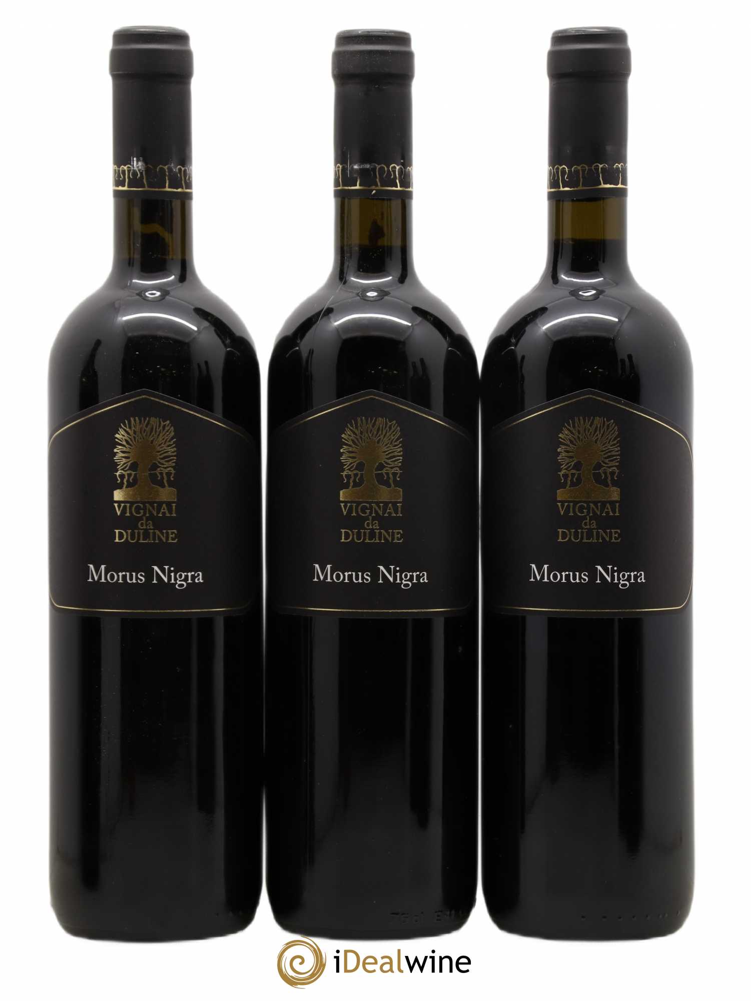 Frioul IGT Venezia Giulia Morus Nigra Vignai da Duline 2008 - Posten von 6 Flaschen - 1
