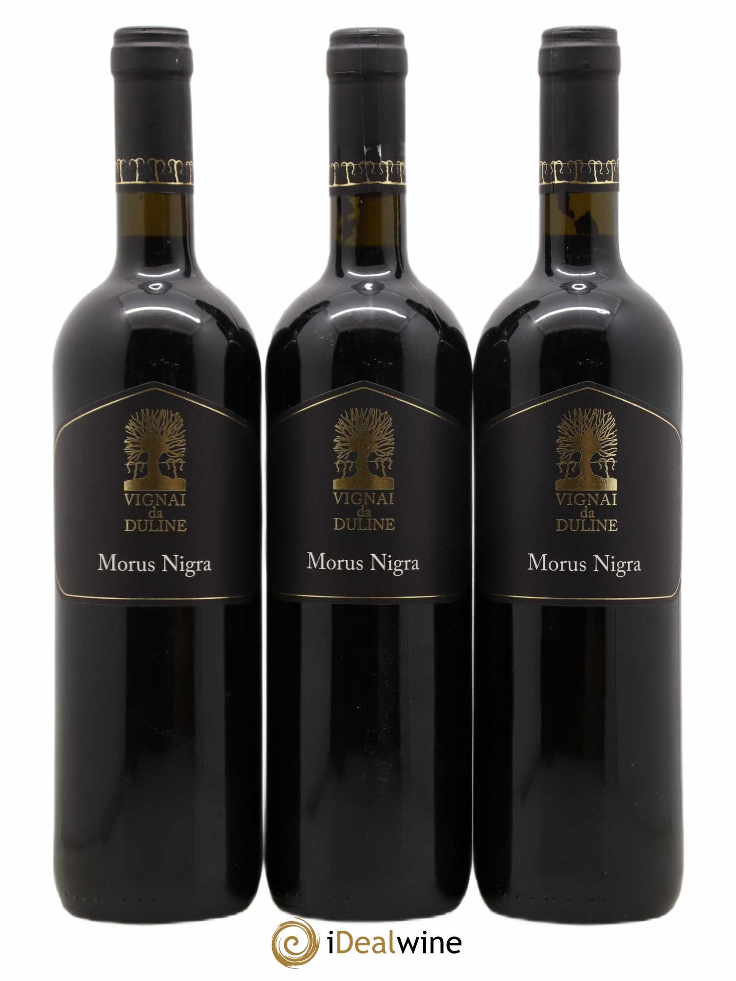 Frioul IGT Venezia Giulia Morus Nigra Vignai da Duline 2008 - Posten von 6 Flaschen - 3