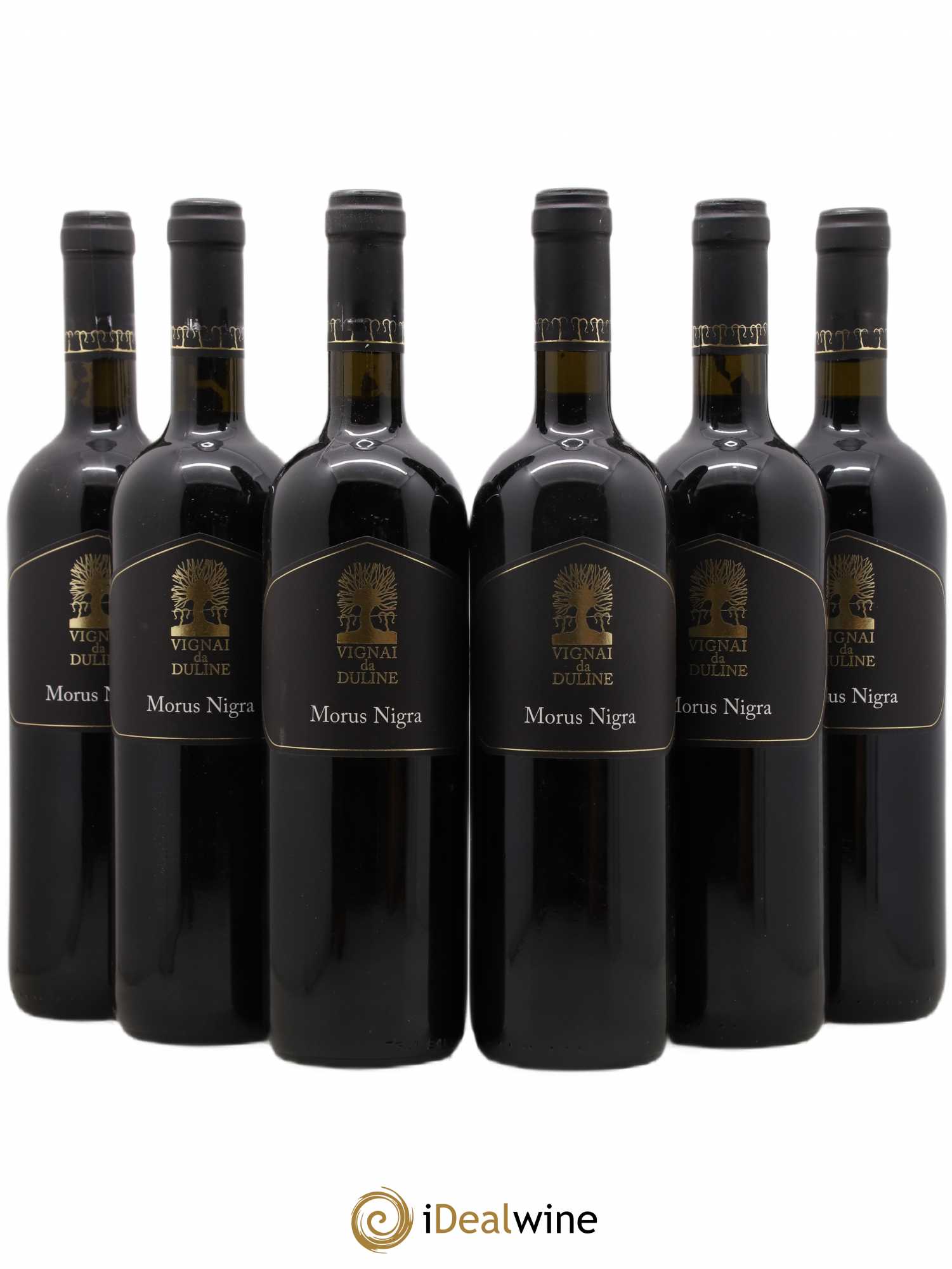 Frioul IGT Venezia Giulia Morus Nigra Vignai da Duline 2008 - Posten von 6 Flaschen - 0