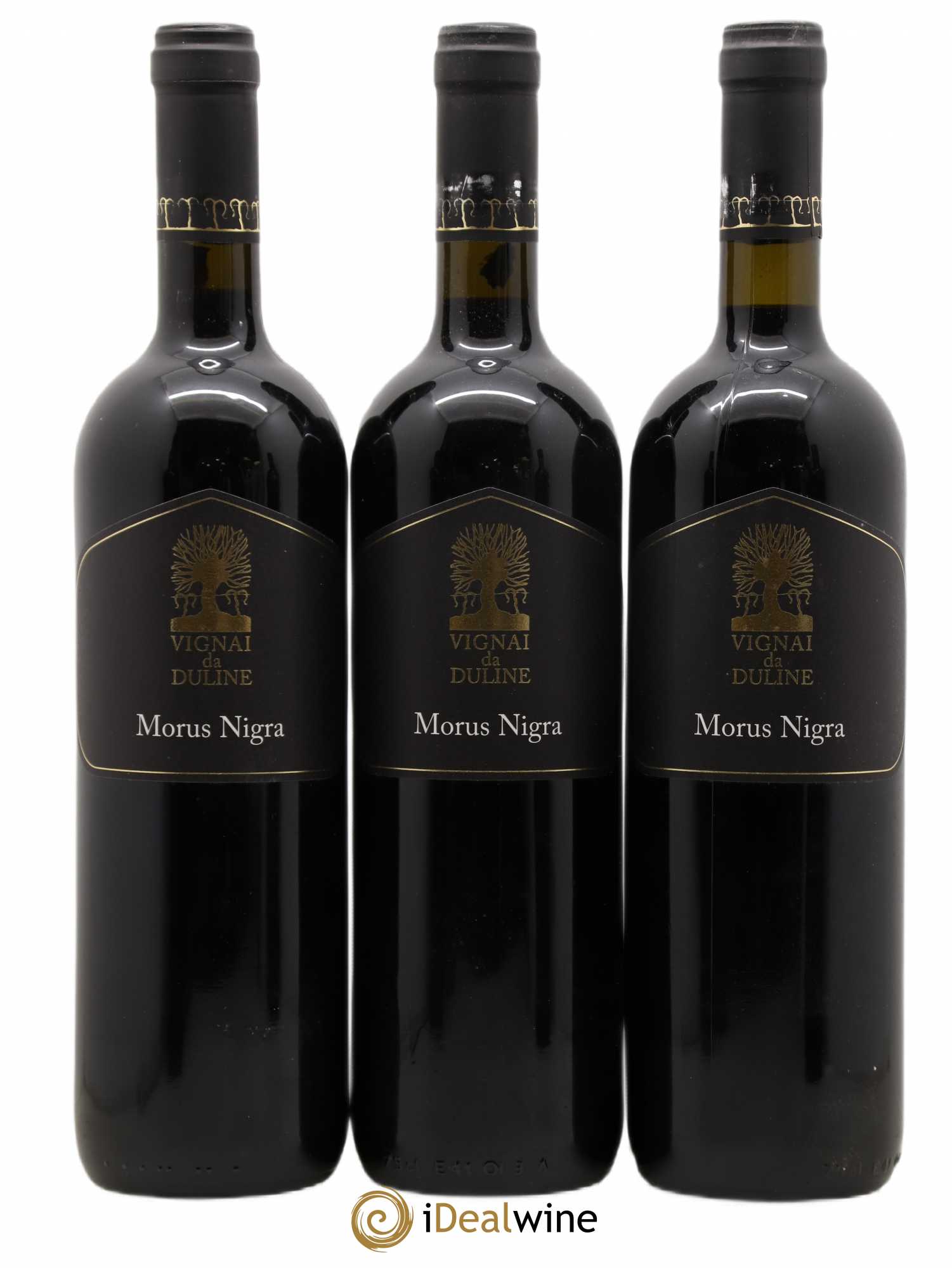 Frioul IGT Venezia Giulia Morus Nigra Vignai da Duline 2008 - Posten von 5 Flaschen - 1