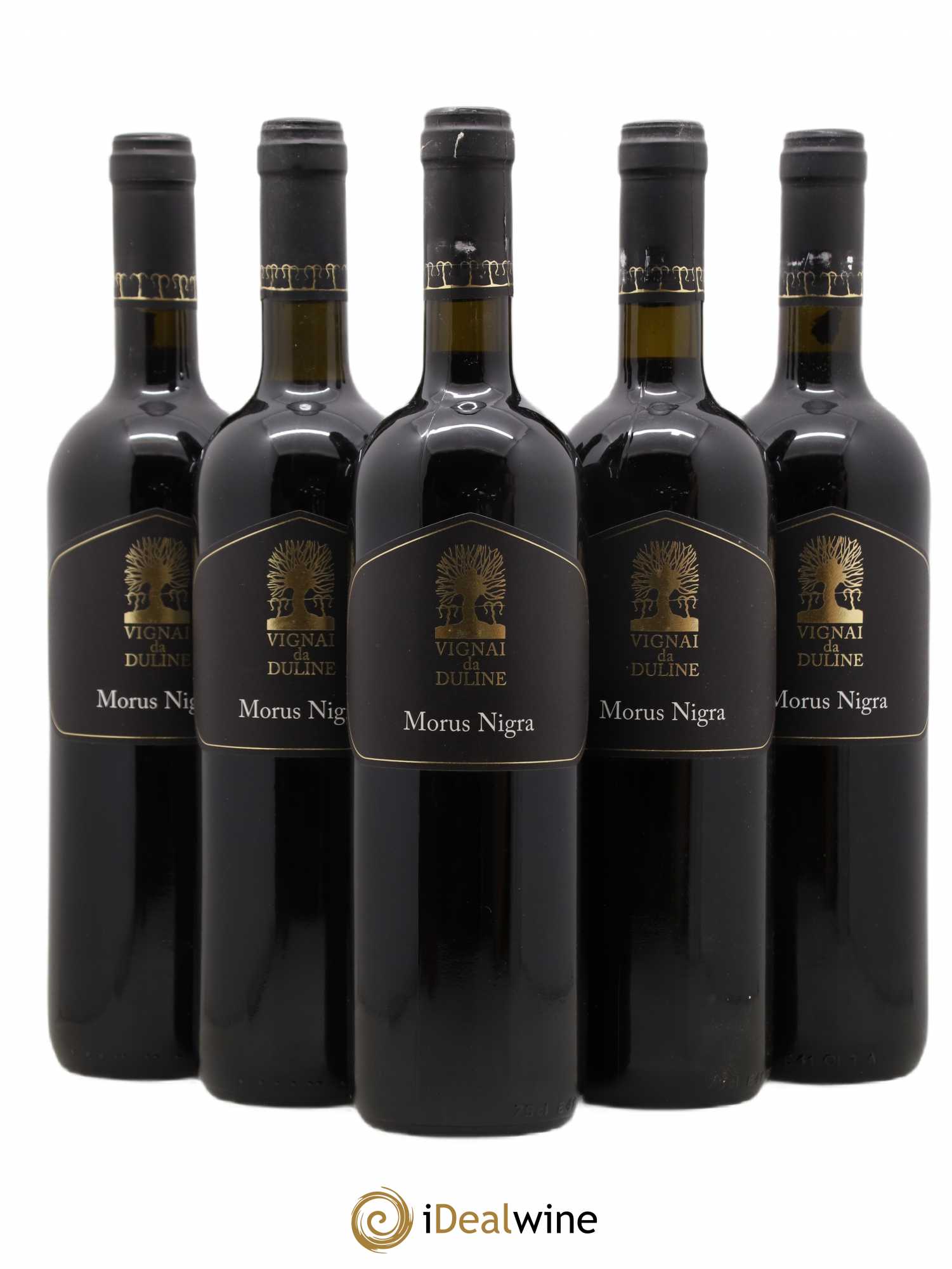 Frioul IGT Venezia Giulia Morus Nigra Vignai da Duline 2008 - Posten von 5 Flaschen - 0