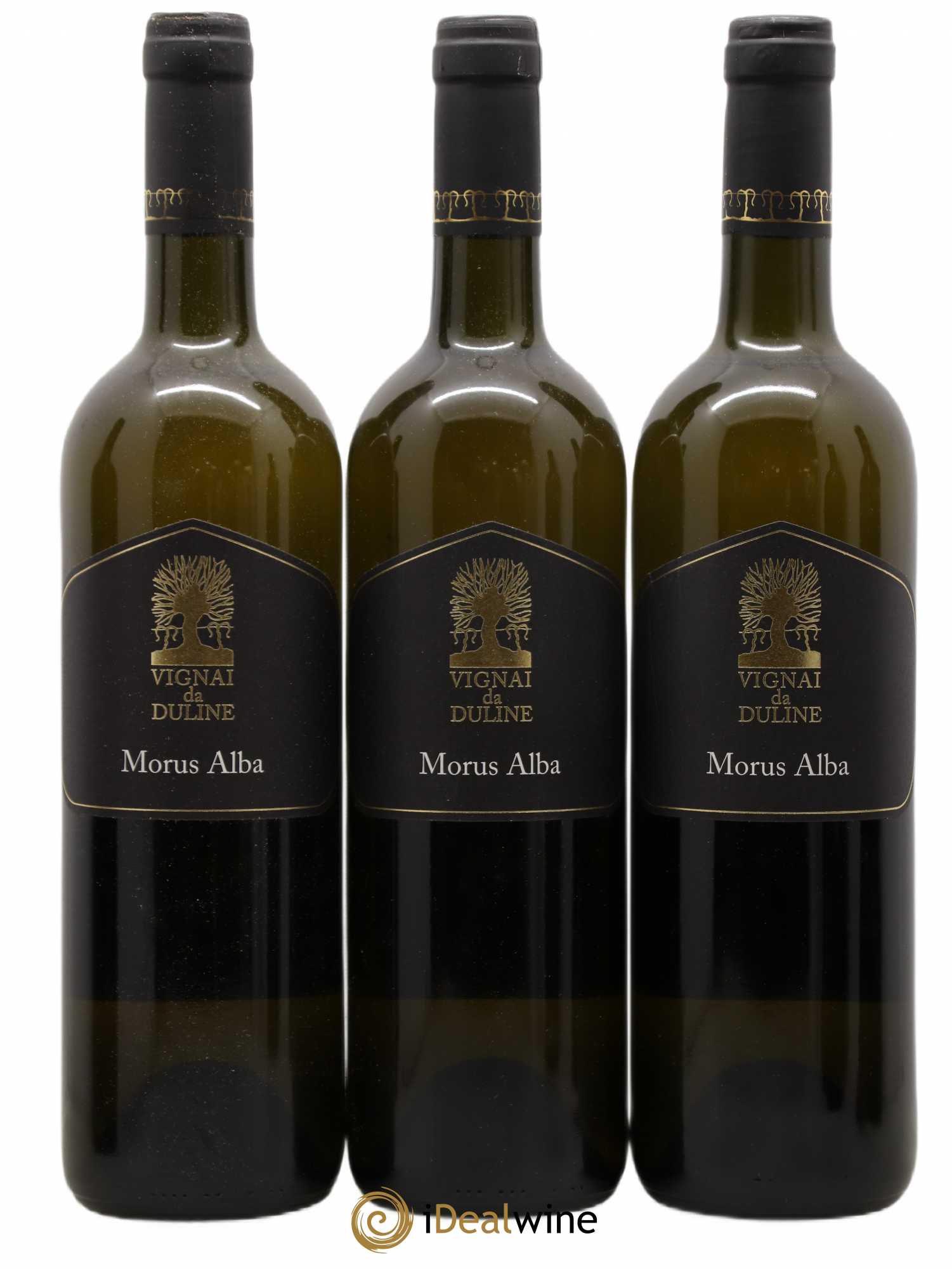 Frioul Colli Orientali del Friuli Morus Alba Vignai da Duline 2008 - Posten von 6 Flaschen - 1