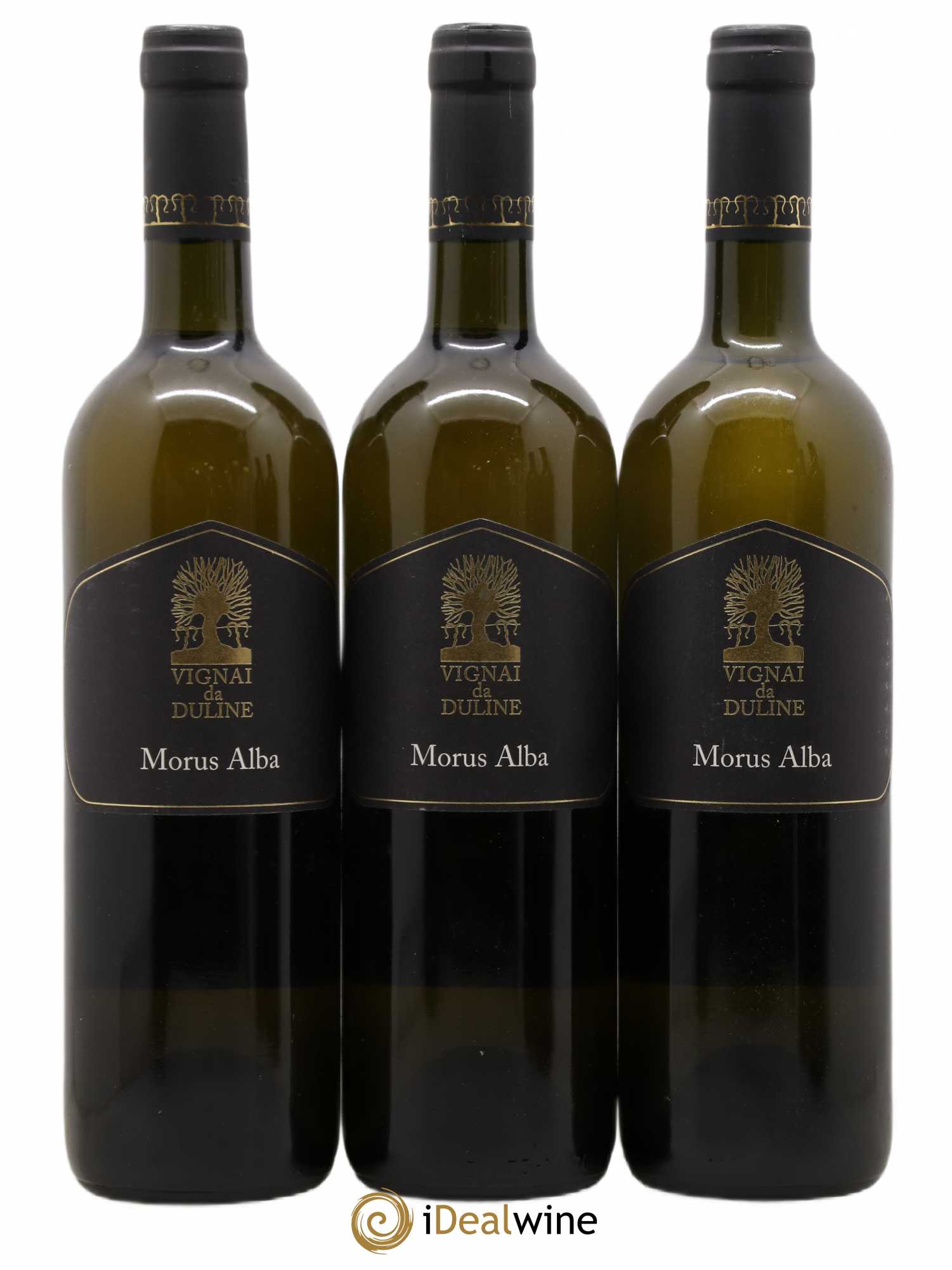 Frioul Colli Orientali del Friuli Morus Alba Vignai da Duline 2008 - Posten von 6 Flaschen - 1