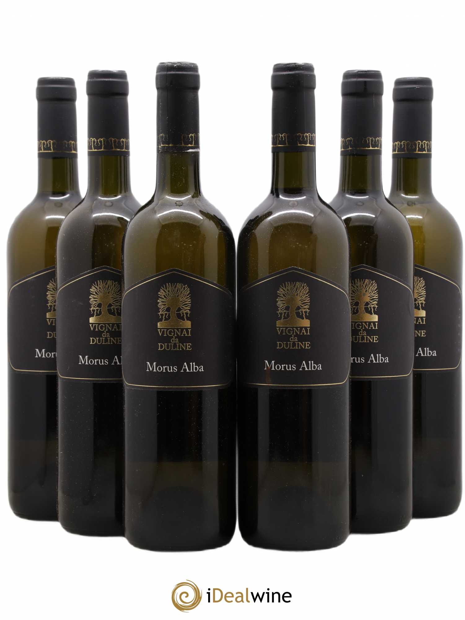 Frioul Colli Orientali del Friuli Morus Alba Vignai da Duline 2008 - Posten von 6 Flaschen - 0