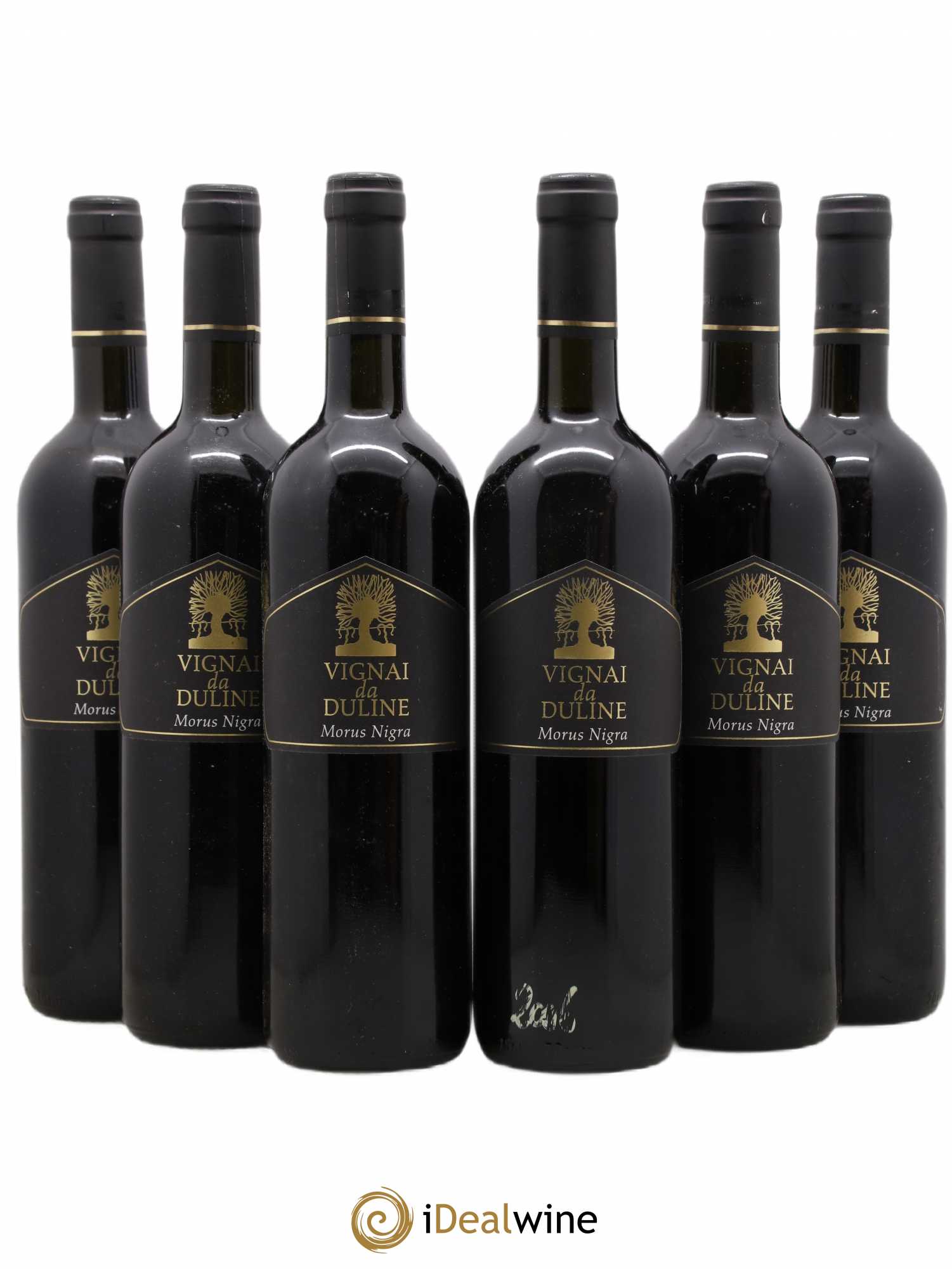 Frioul IGT Venezia Giulia Morus Nigra Vignai da Duline 2006 - Posten von 6 Flaschen - 0