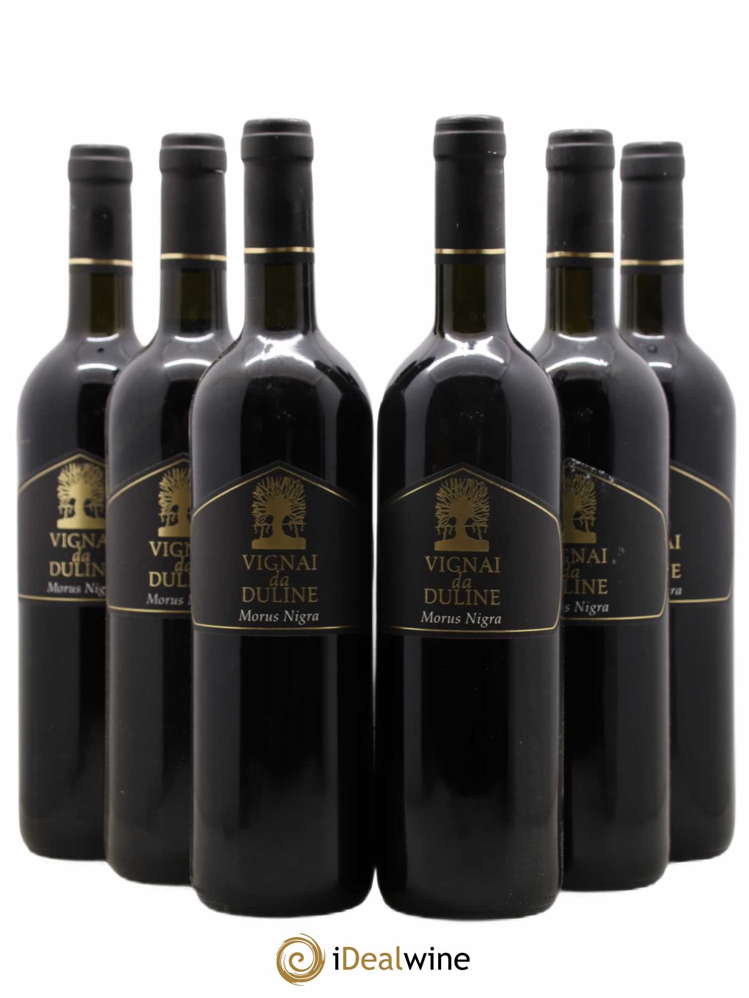 Italie Venezia Giulia Morus Nigra Vignai da Duline 2006 - Posten von 6 Flaschen - 0