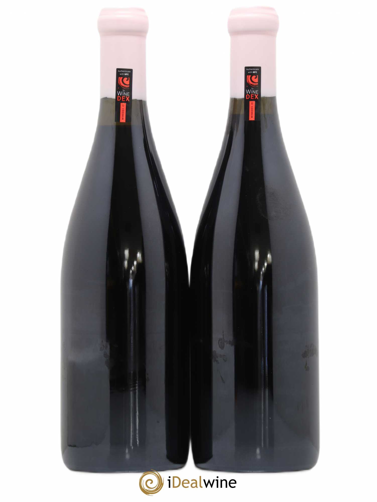 Côte de Nuits-Villages Aux Montagnes Charles Lachaux 2020 - Lot de 2 bouteilles - 1