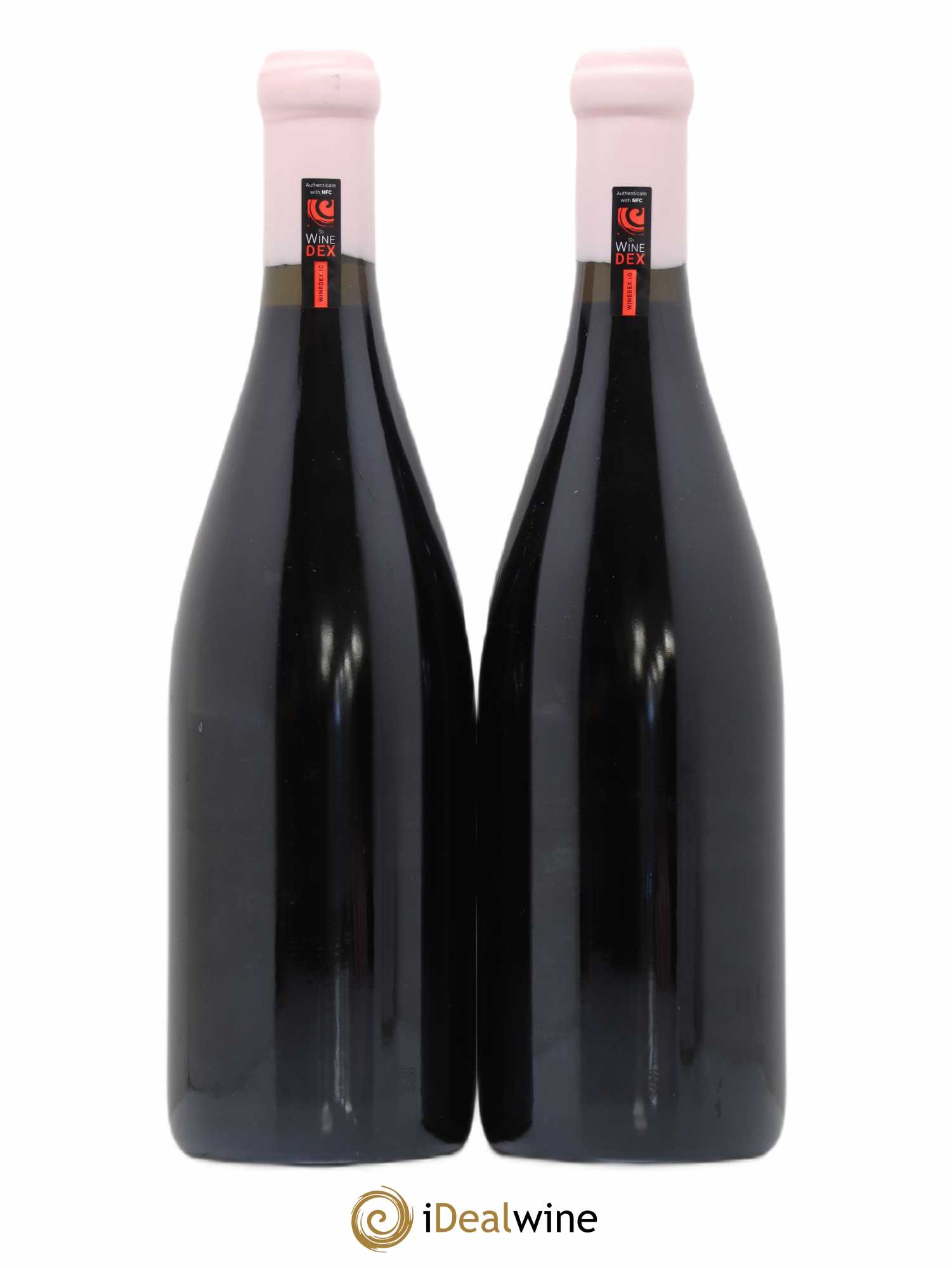 Côte de Nuits-Villages Aux Montagnes Charles Lachaux 2019 - Lot de 2 bouteilles - 1