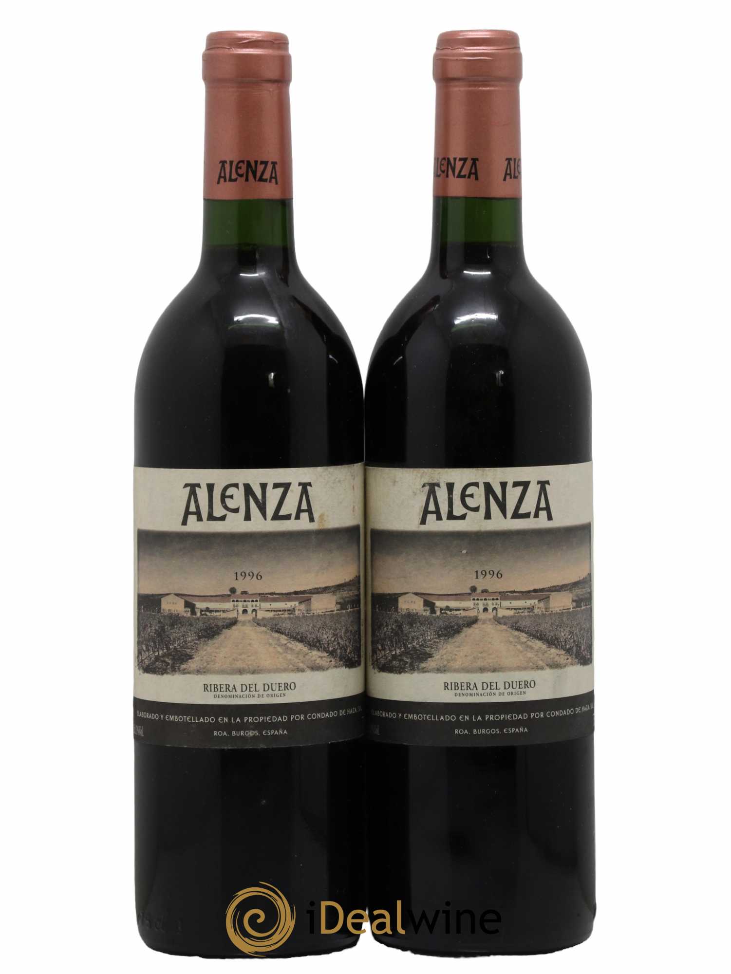 Ribera Del Duero DO Domaine Alenza 1996 - Lot de 2 bouteilles - 0