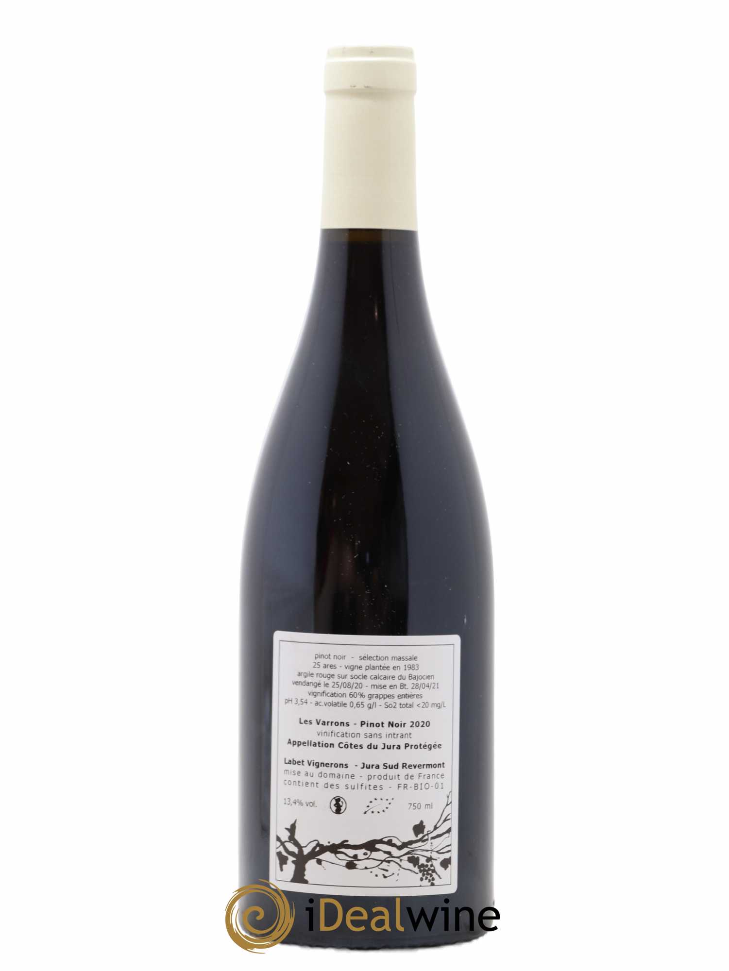Côtes du Jura Pinot Noir Les Varrons Sélection Massale Romain - Julien  - Charline Labet 2020 - Lotto di 1 bottiglia - 1