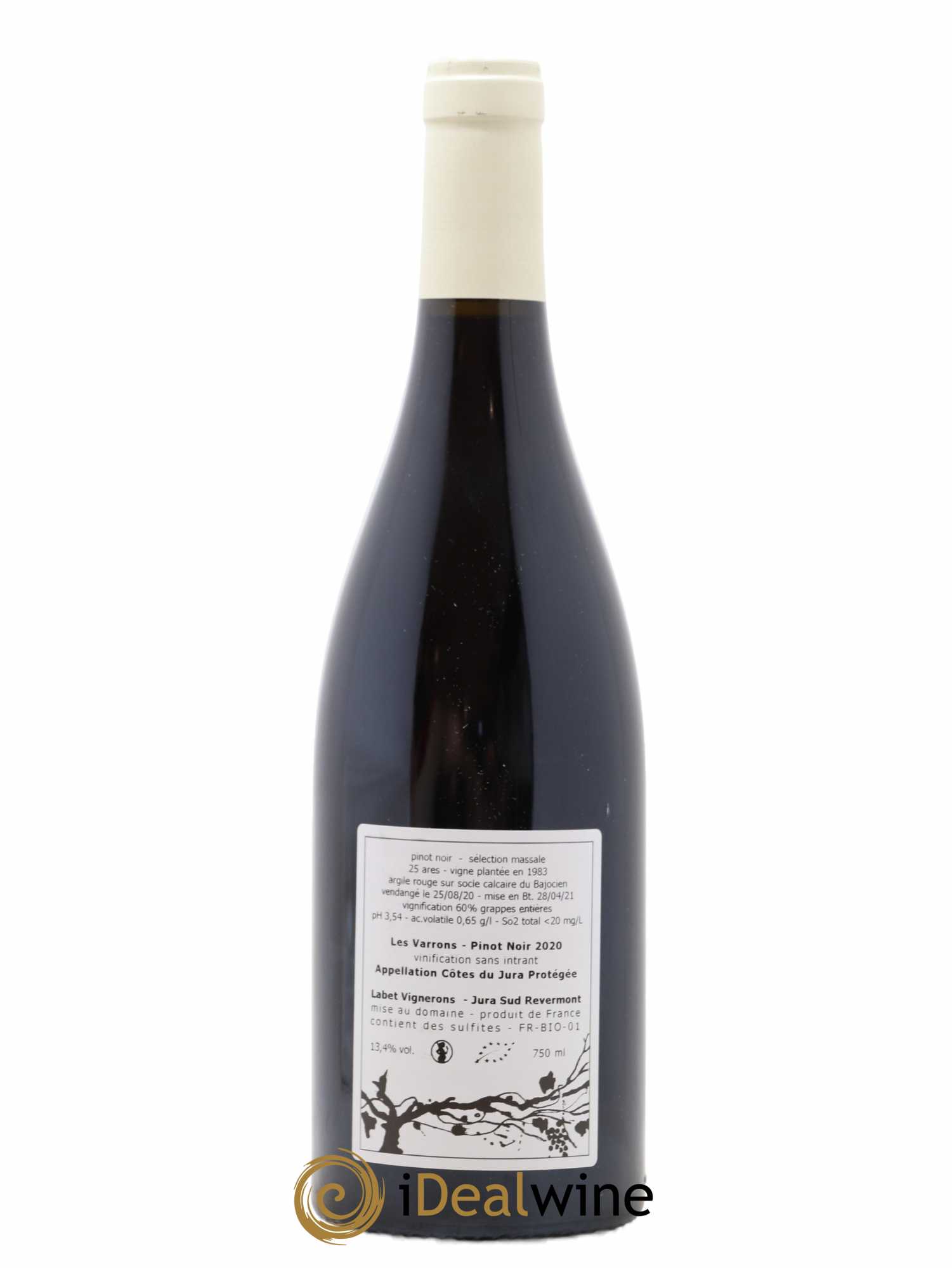 Côtes du Jura Pinot Noir Les Varrons Sélection Massale Romain - Julien  - Charline Labet  2020 - Lot de 1 bouteille - 1